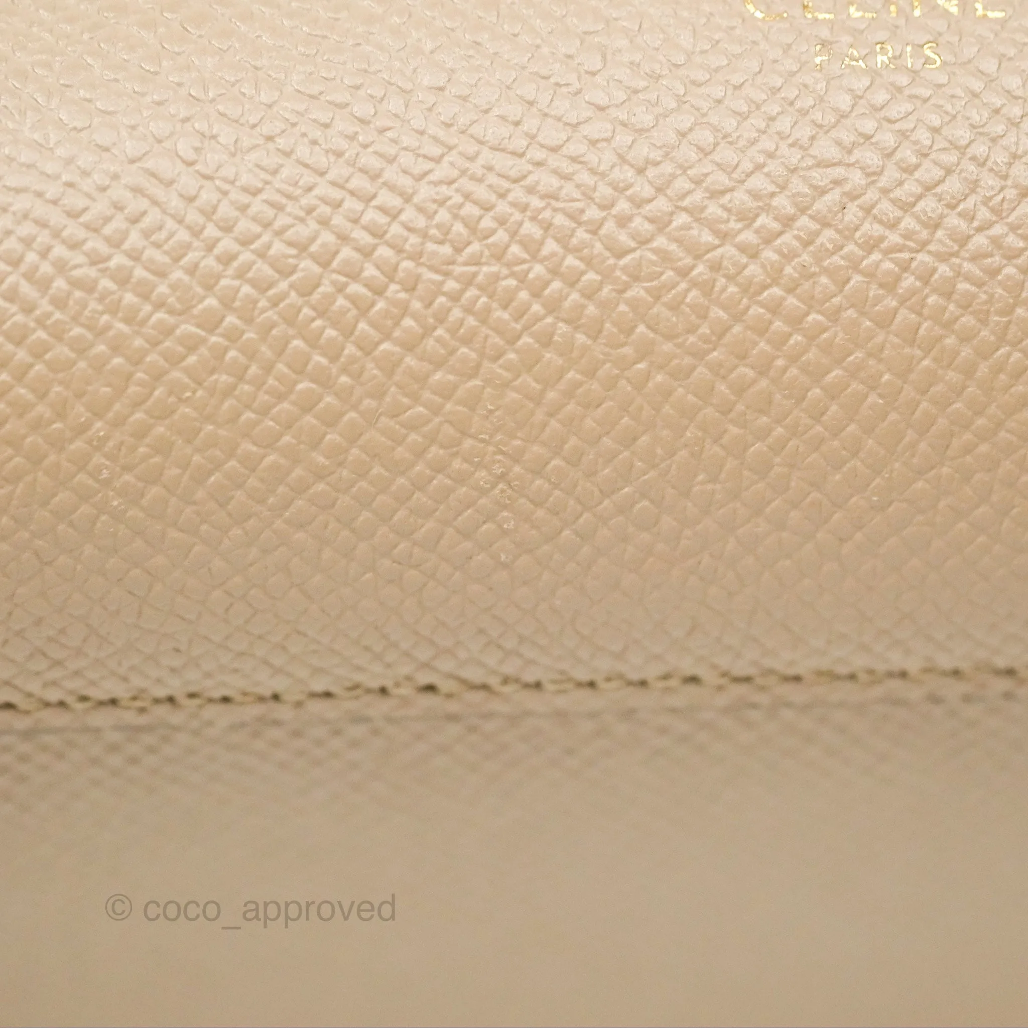 Celine Nano Belt Bag Light Taupe Grained Calfskin Gold Hardware