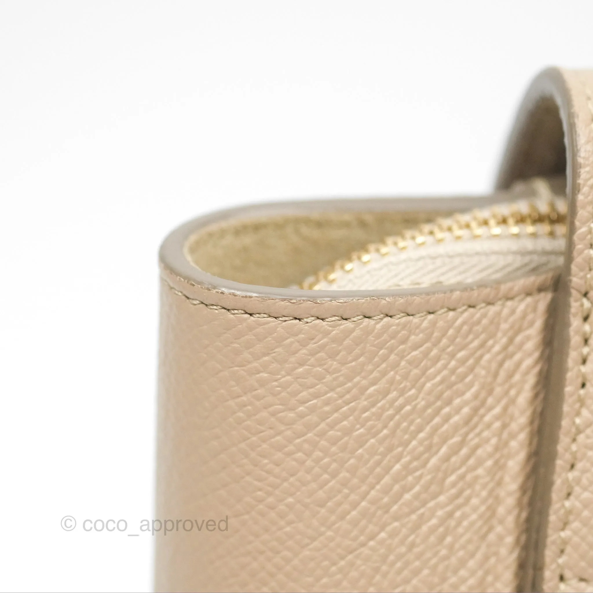 Celine Nano Belt Bag Light Taupe Grained Calfskin Gold Hardware