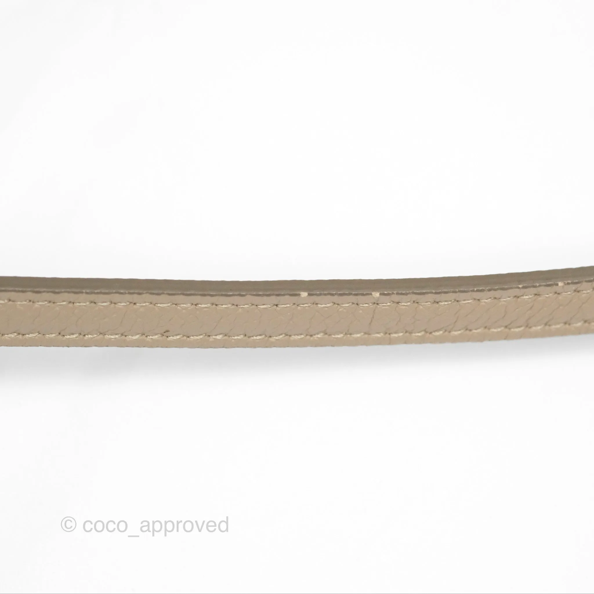 Celine Nano Belt Bag Light Taupe Grained Calfskin Gold Hardware