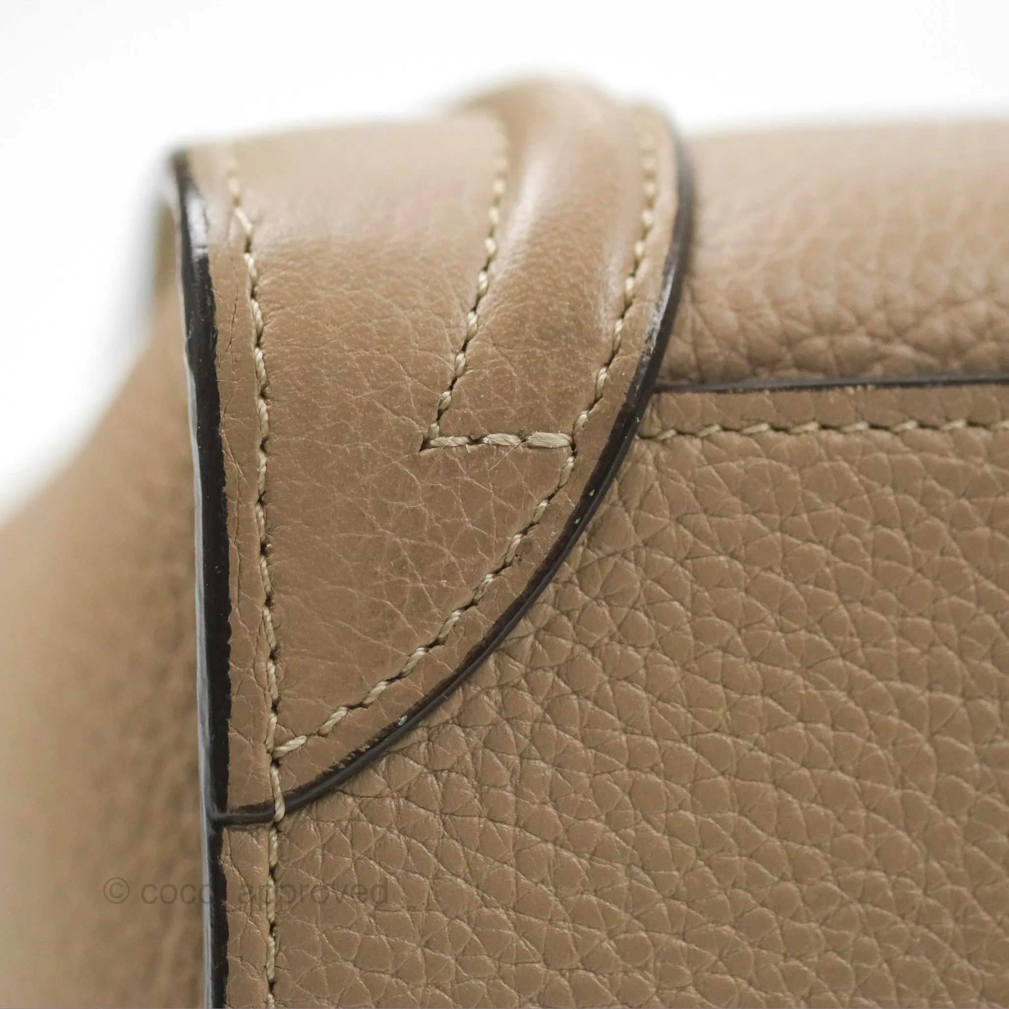 Celine Nano Luggage Bag Dune Drummed Calfskin