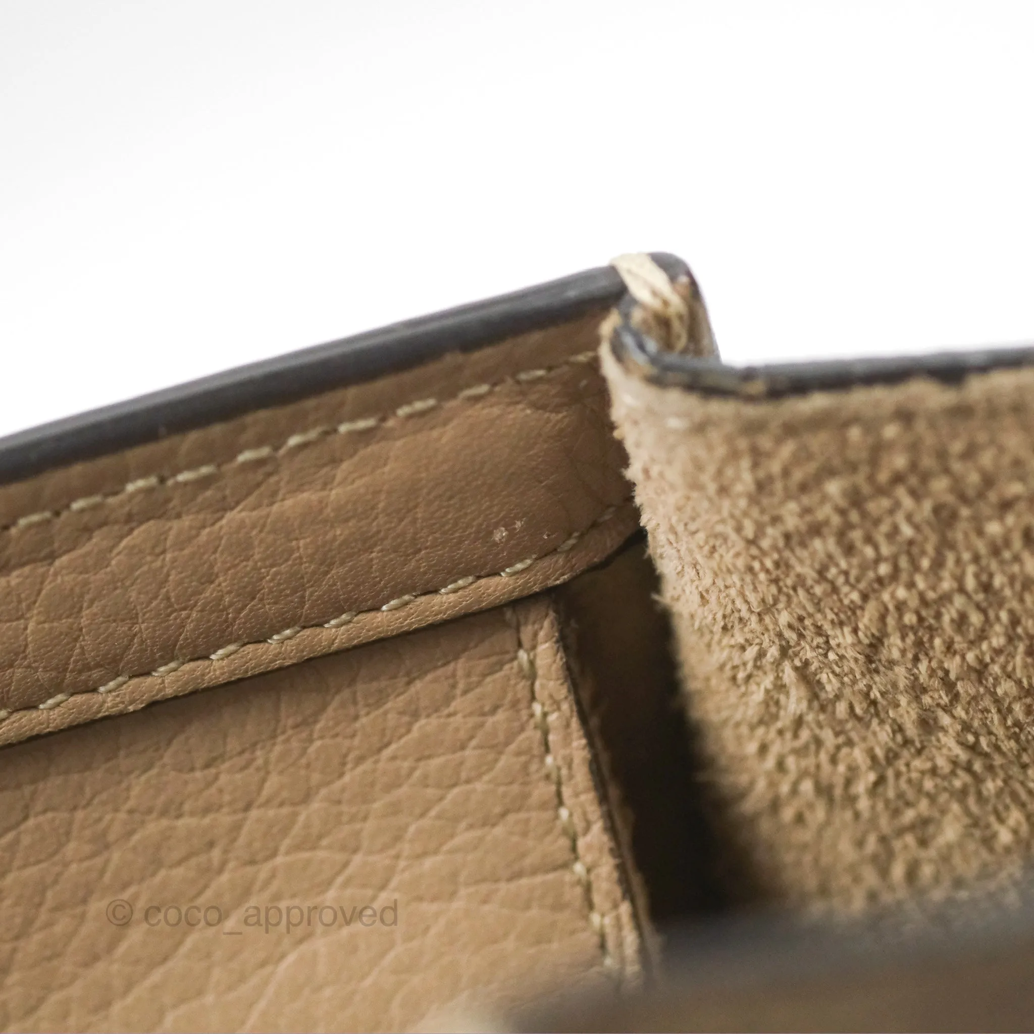 Celine Nano Luggage Bag Dune Drummed Calfskin