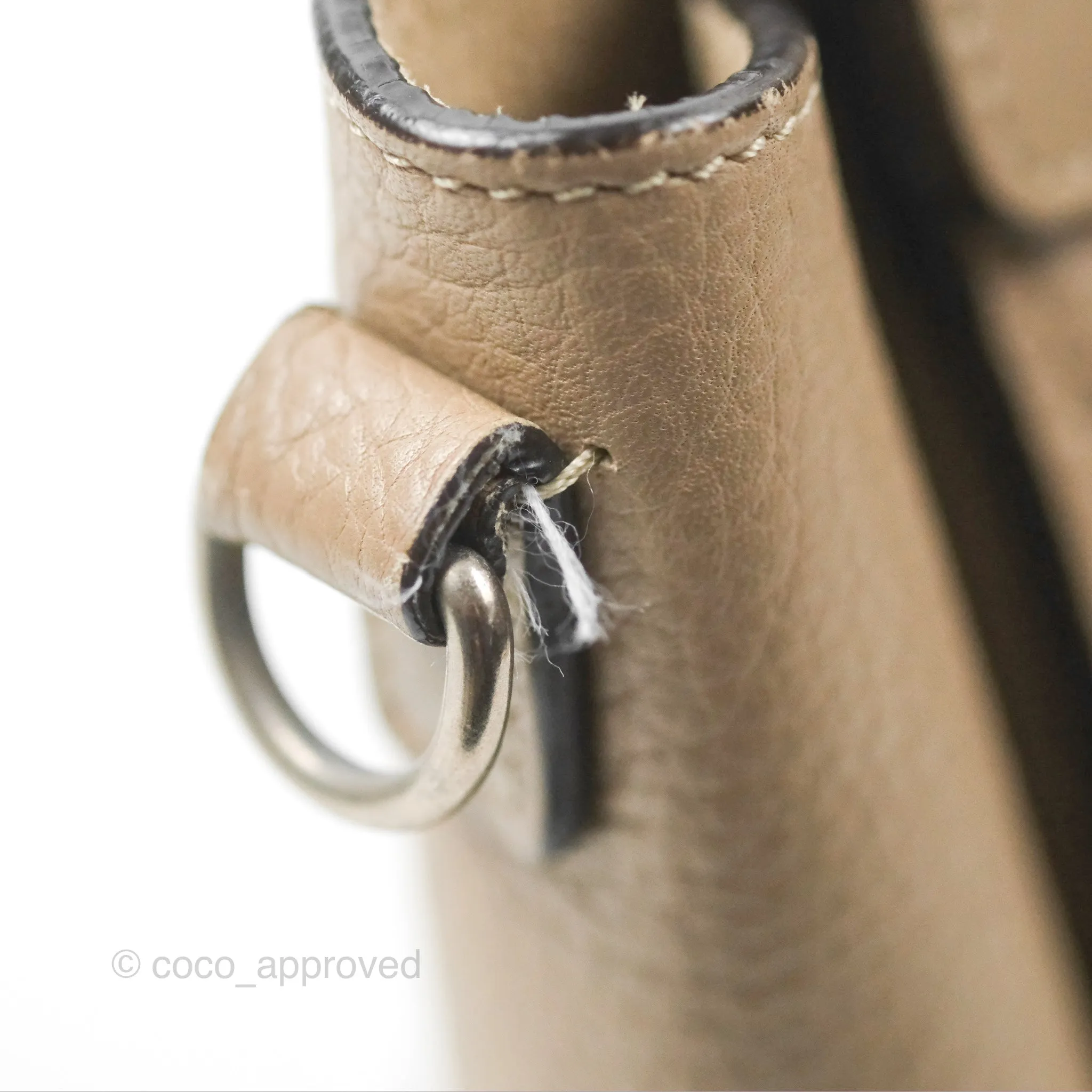 Celine Nano Luggage Bag Dune Drummed Calfskin