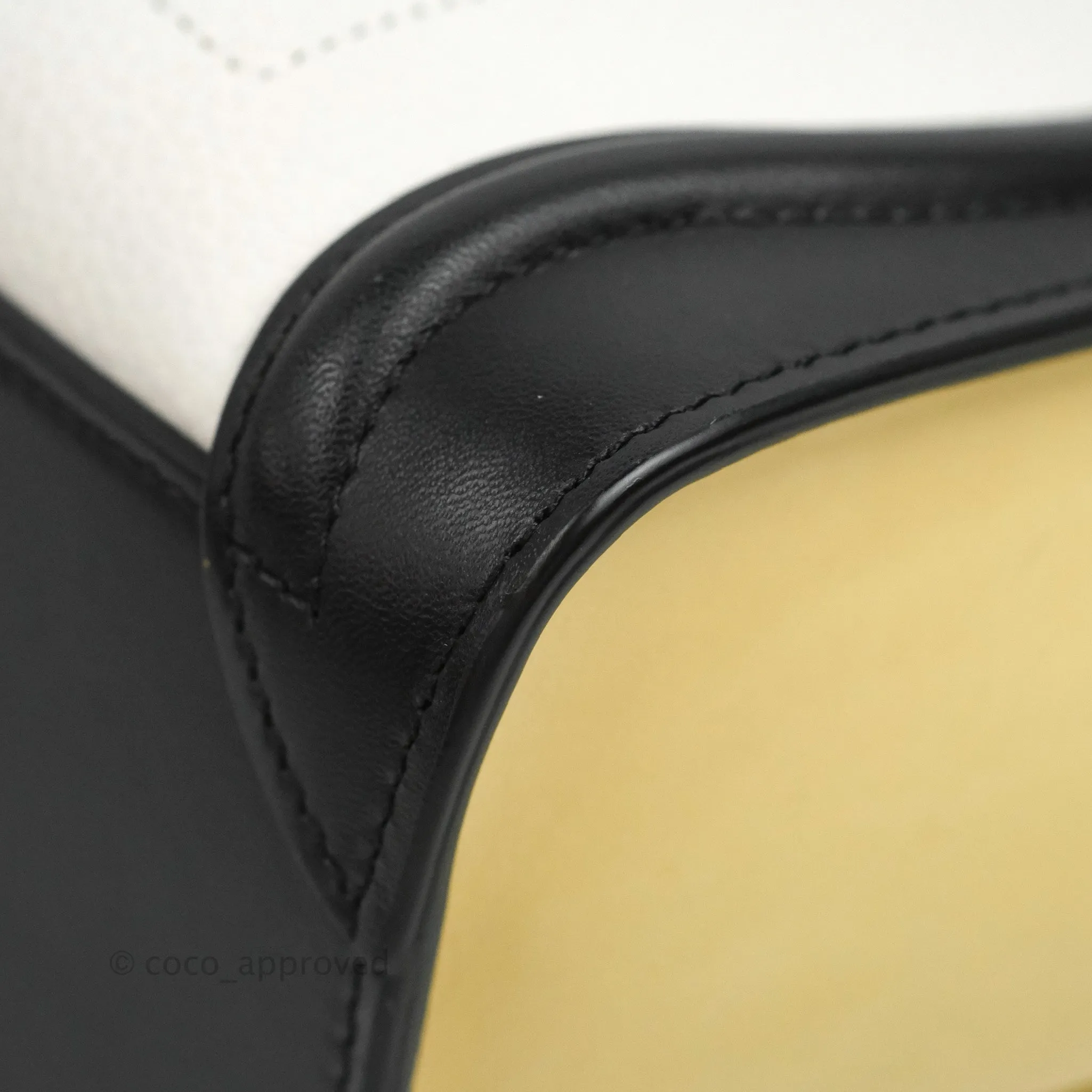 Celine Nano Luggage Bag Tricolour Light Beige/White/Black Grained Calfskin