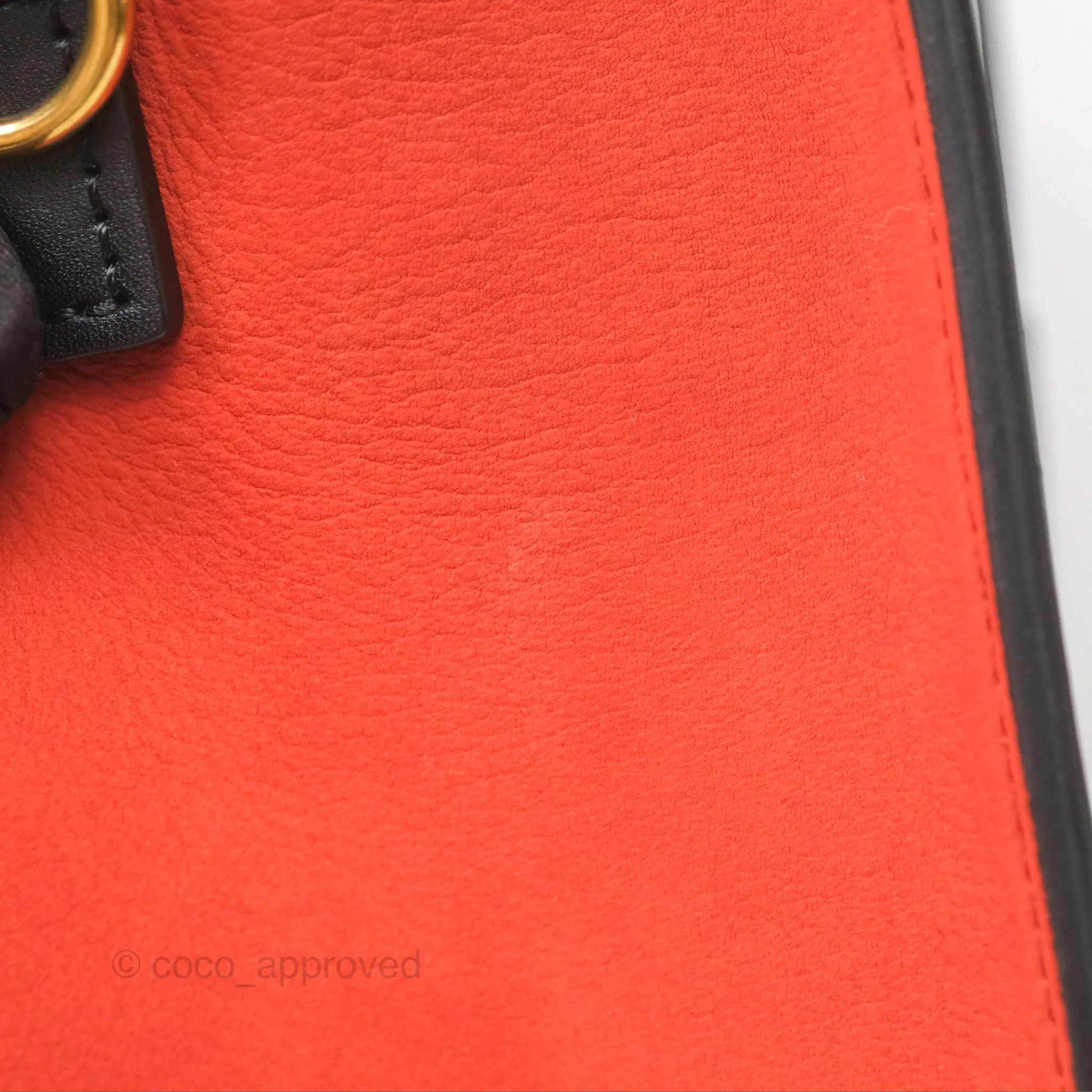 Celine Nano Luggage Grained Calfskin Gold Hardware Orange/Black/Beige
