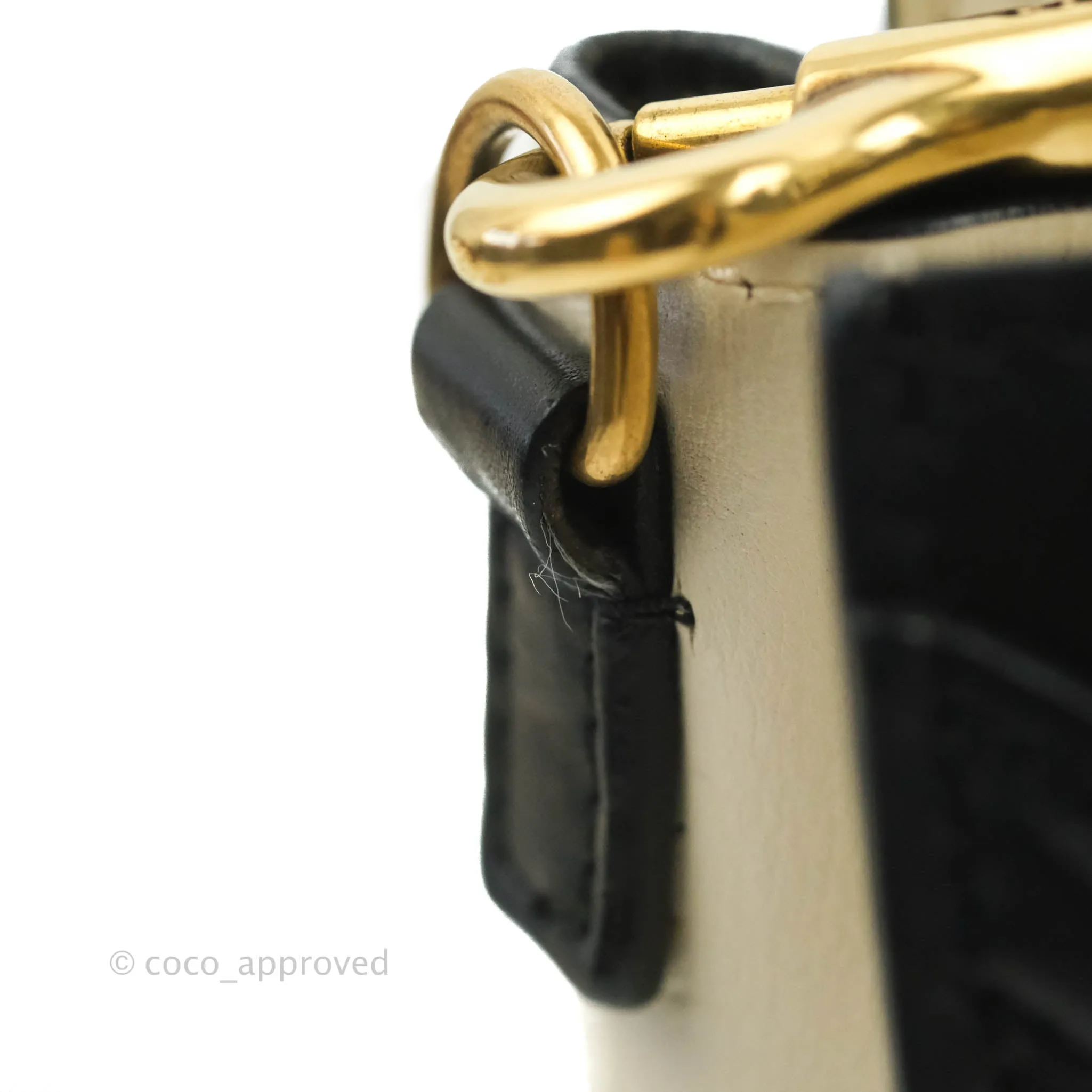 Celine Nano Luggage Grained Calfskin Gold Hardware White/Black/Beige