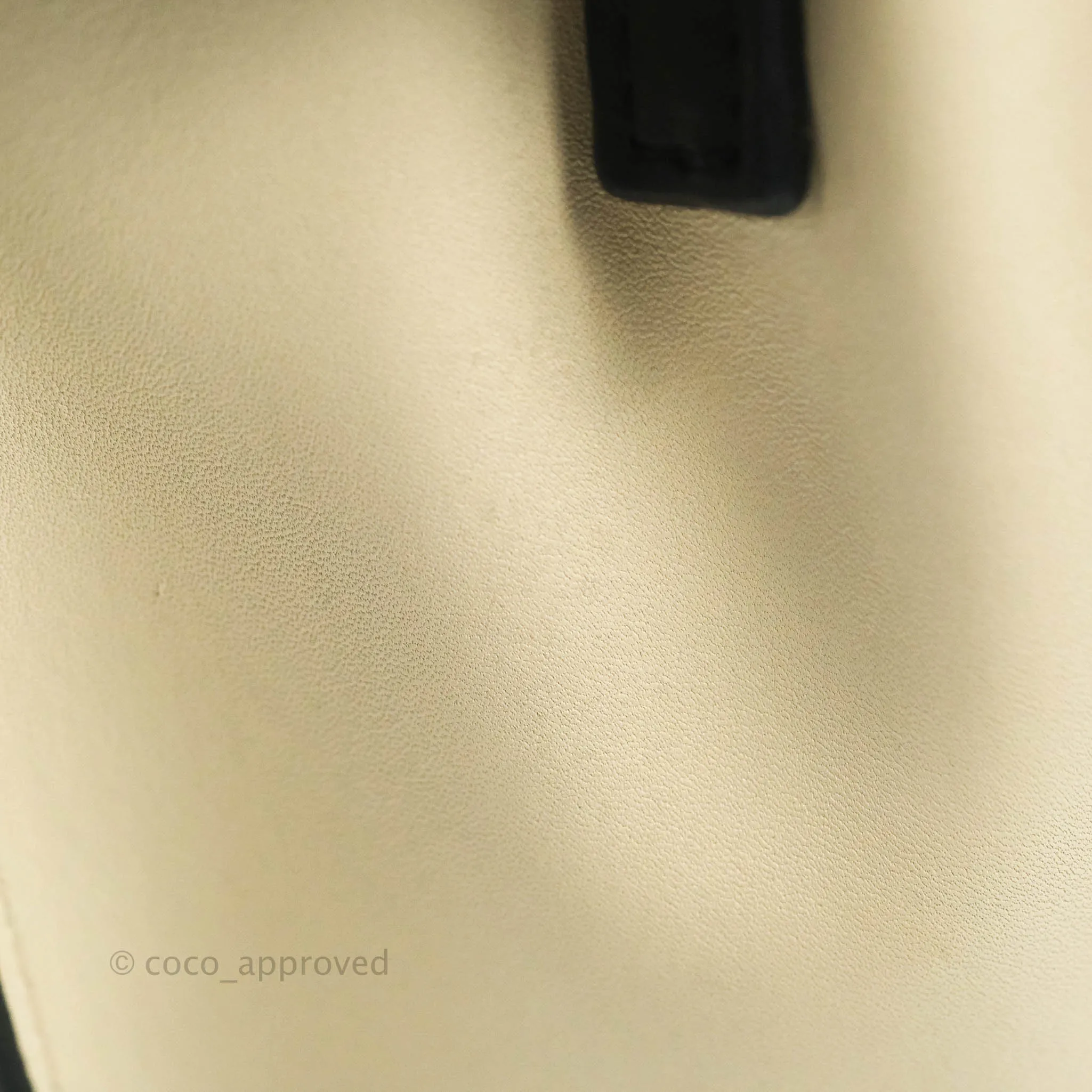 Celine Nano Luggage Grained Calfskin Gold Hardware White/Black/Beige