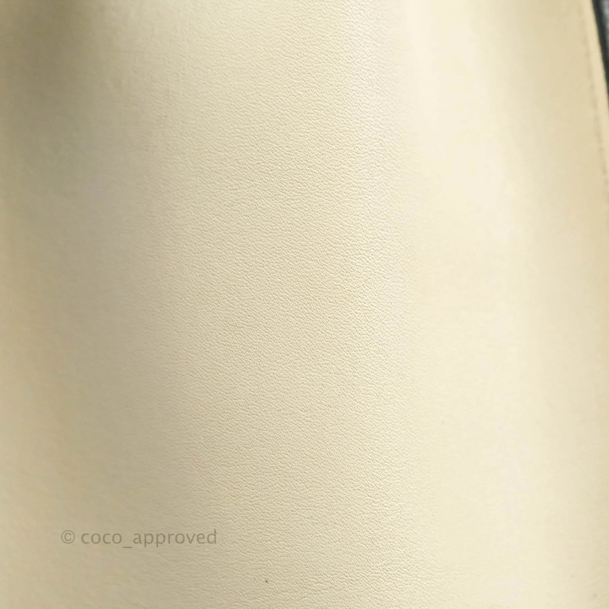 Celine Nano Luggage Grained Calfskin Gold Hardware White/Black/Beige
