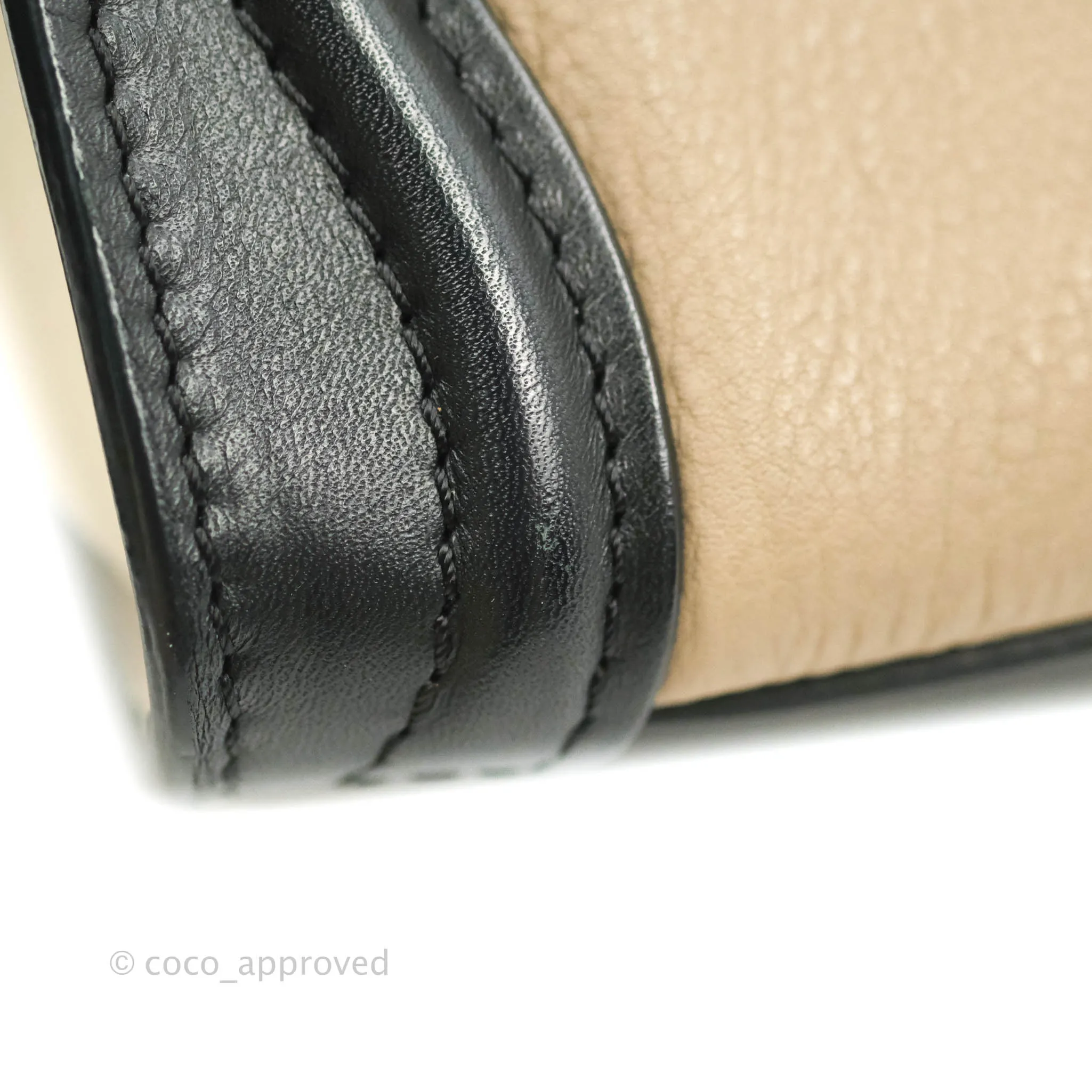 Celine Nano Luggage Grained Calfskin Gold Hardware White/Black/Beige