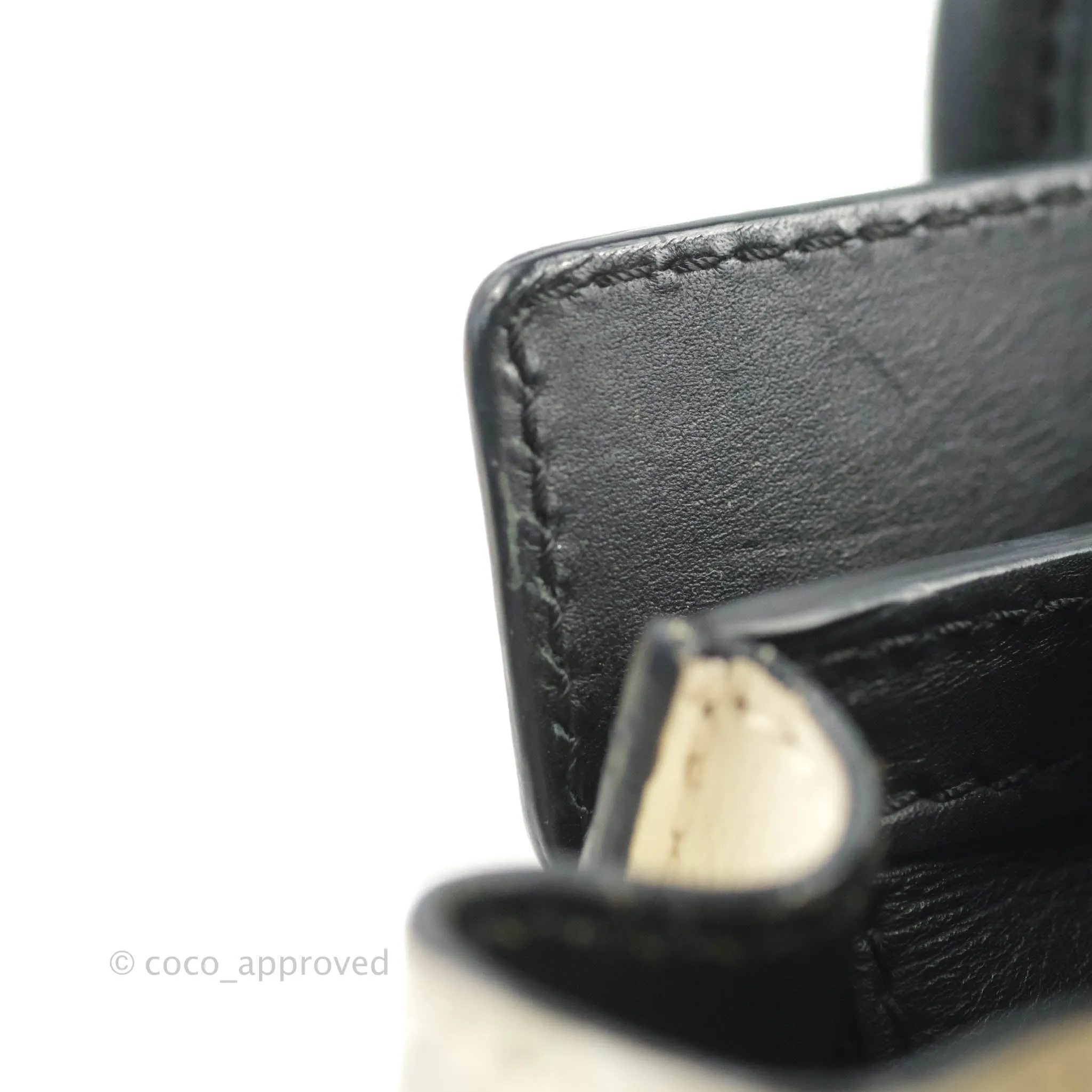 Celine Nano Luggage Grained Calfskin Gold Hardware White/Black/Beige