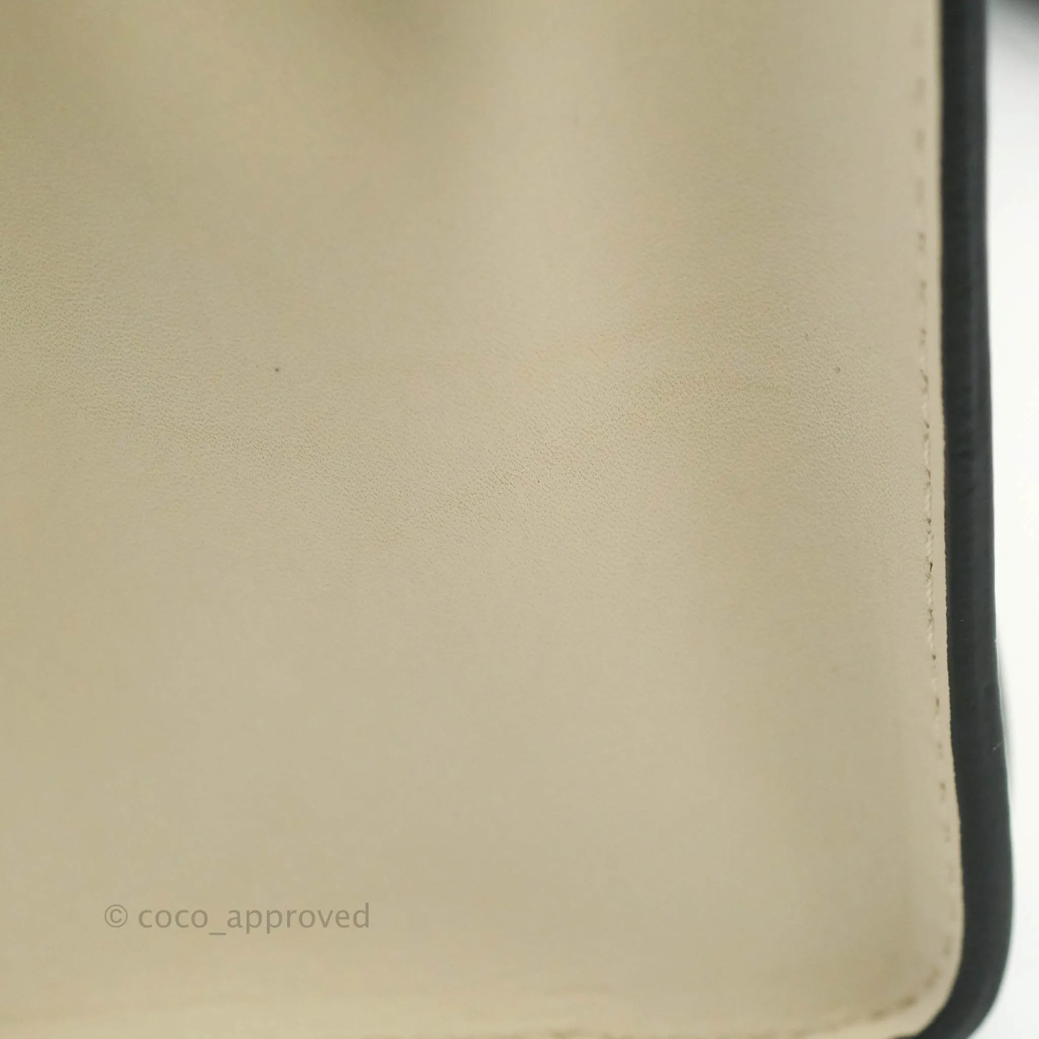 Celine Nano Luggage Grained Calfskin Gold Hardware White/Black/Beige