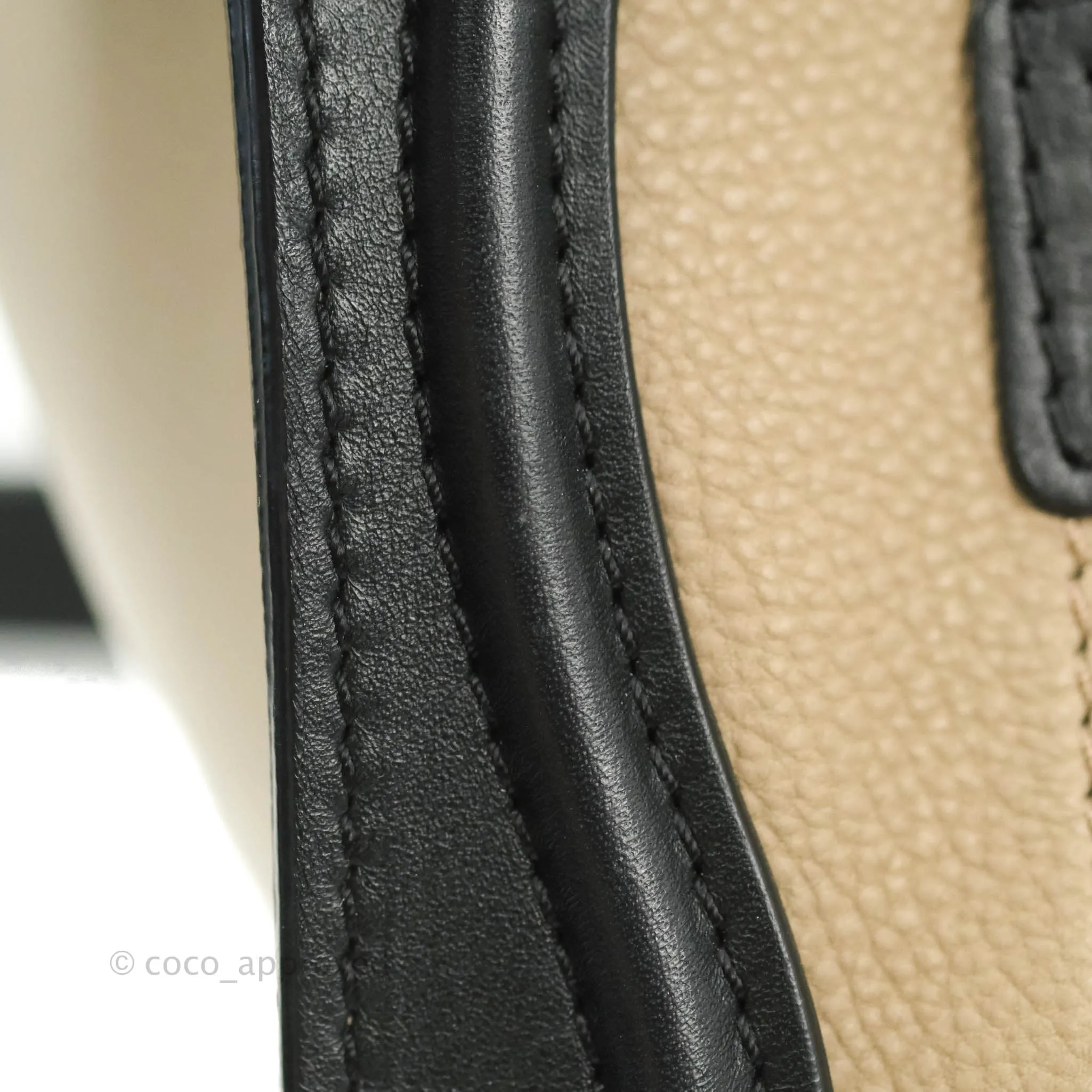Celine Nano Luggage Grained Calfskin Gold Hardware White/Black/Beige