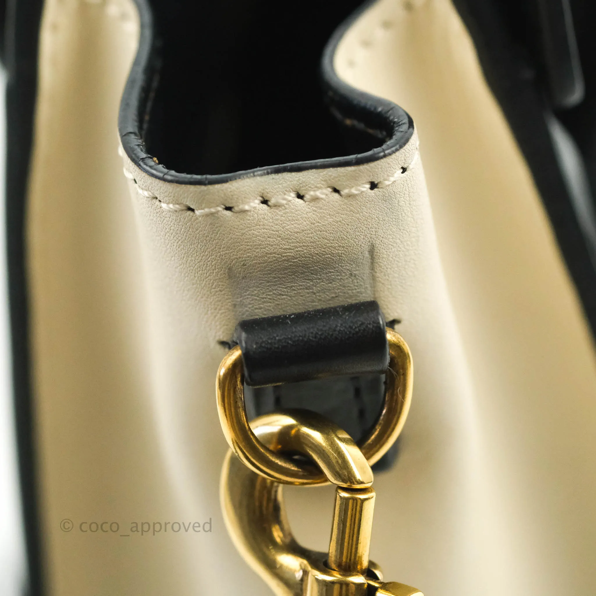 Celine Nano Luggage Grained Calfskin Gold Hardware White/Black/Beige