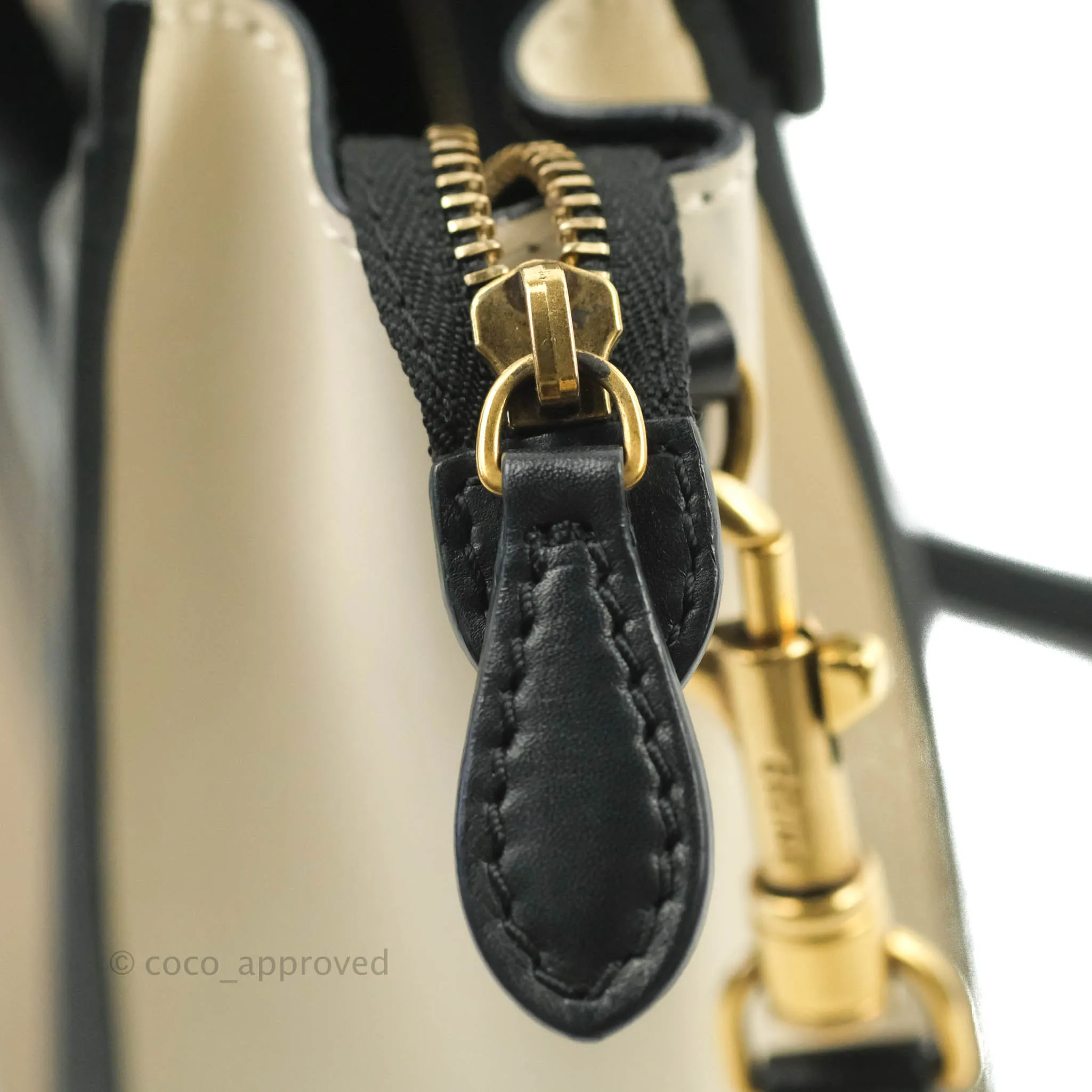 Celine Nano Luggage Grained Calfskin Gold Hardware White/Black/Beige