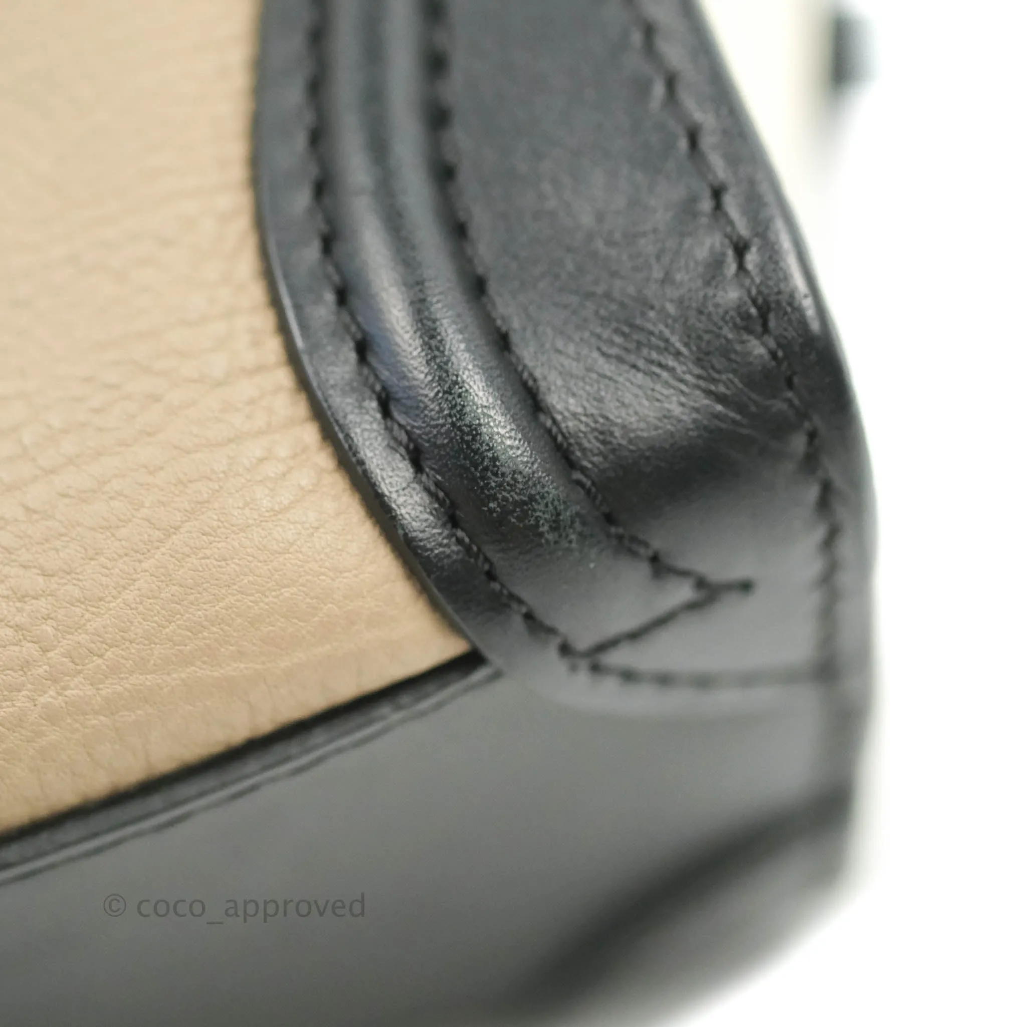 Celine Nano Luggage Grained Calfskin Gold Hardware White/Black/Beige