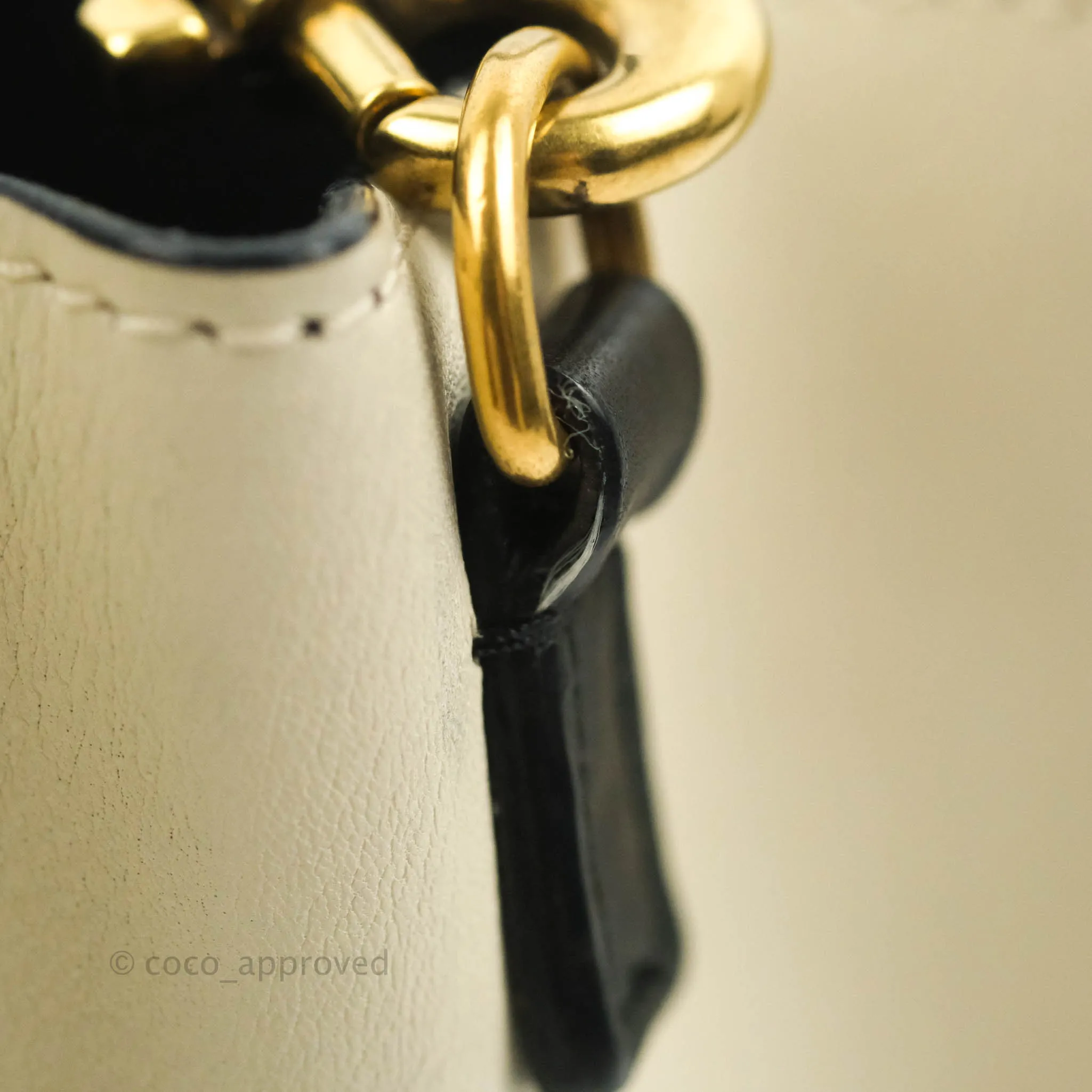Celine Nano Luggage Grained Calfskin Gold Hardware White/Black/Beige