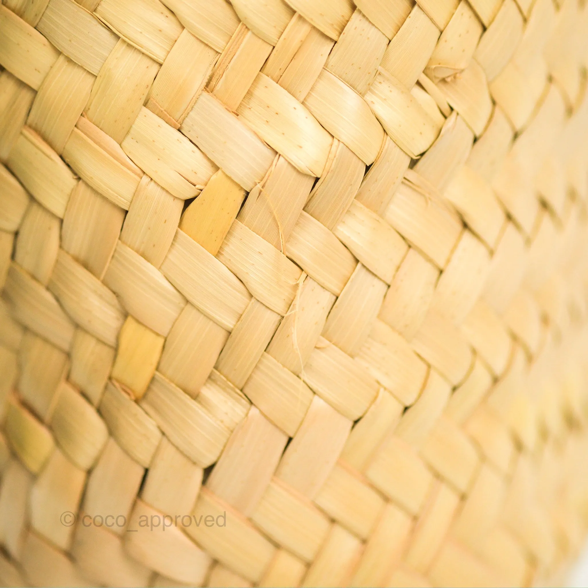 Celine Nano Triomphe Panier Palm Leaves Calfskin Tan