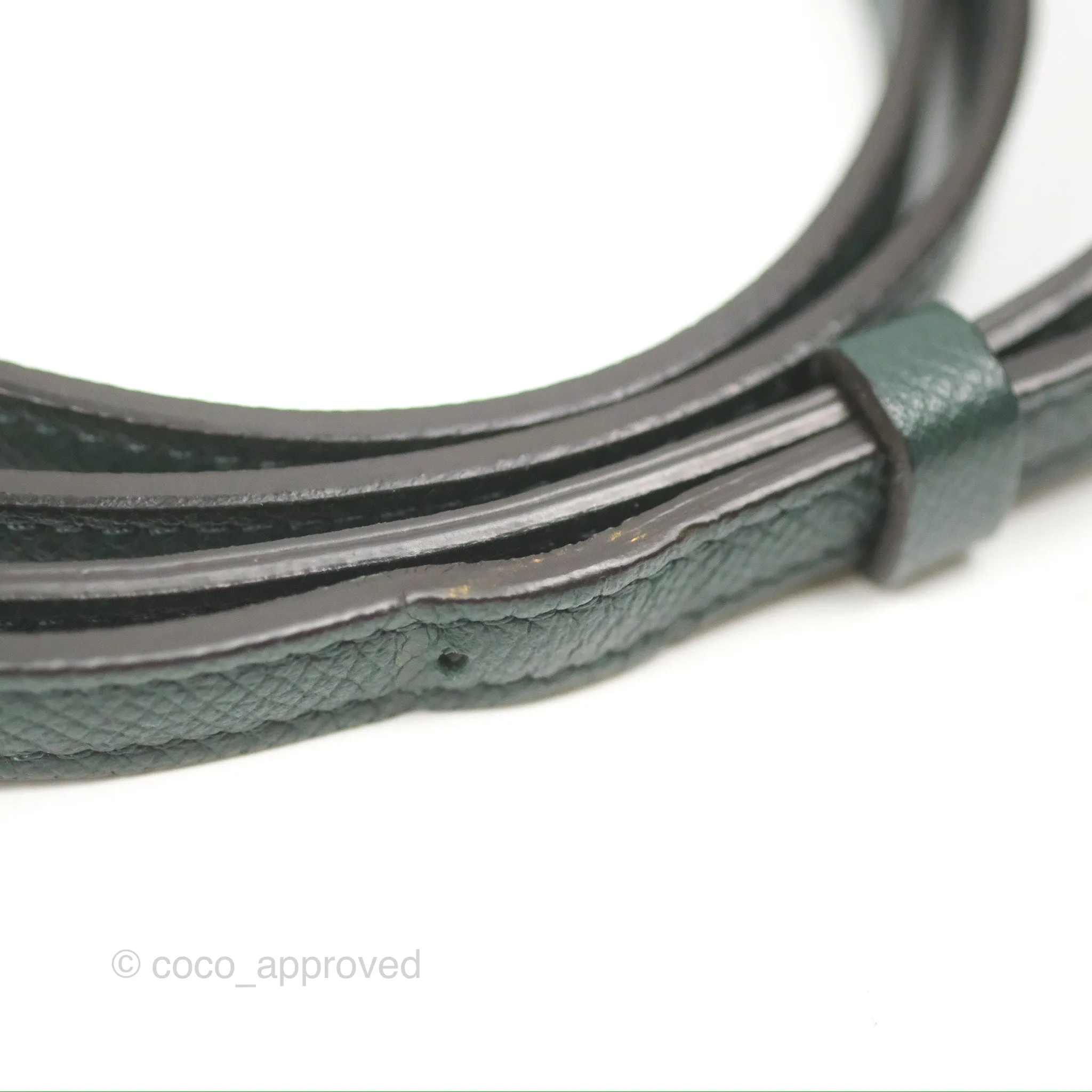 Celine Pico Belt Bag Amazone Green Grained Calfskin Gold Hardware