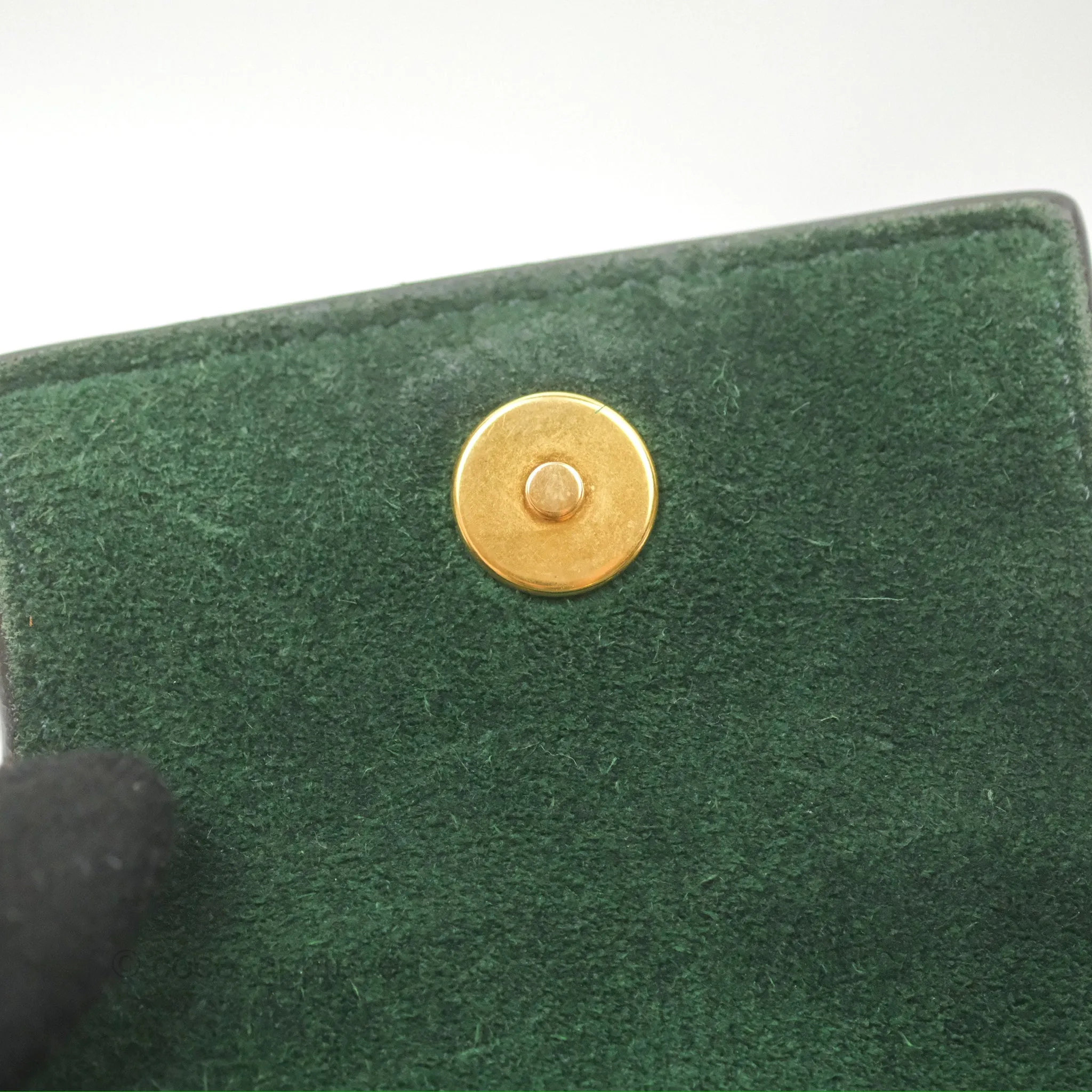Celine Pico Belt Bag Amazone Green Grained Calfskin Gold Hardware