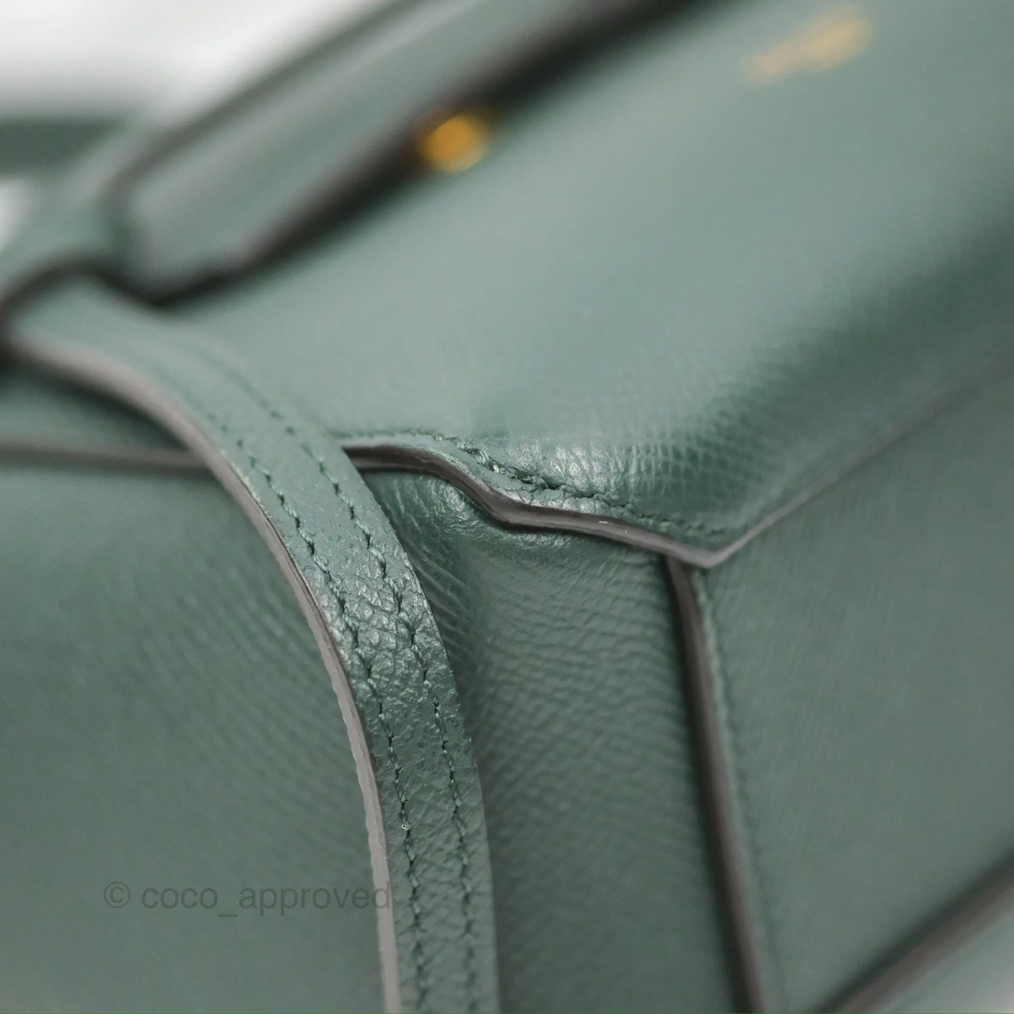 Celine Pico Belt Bag Amazone Green Grained Calfskin Gold Hardware