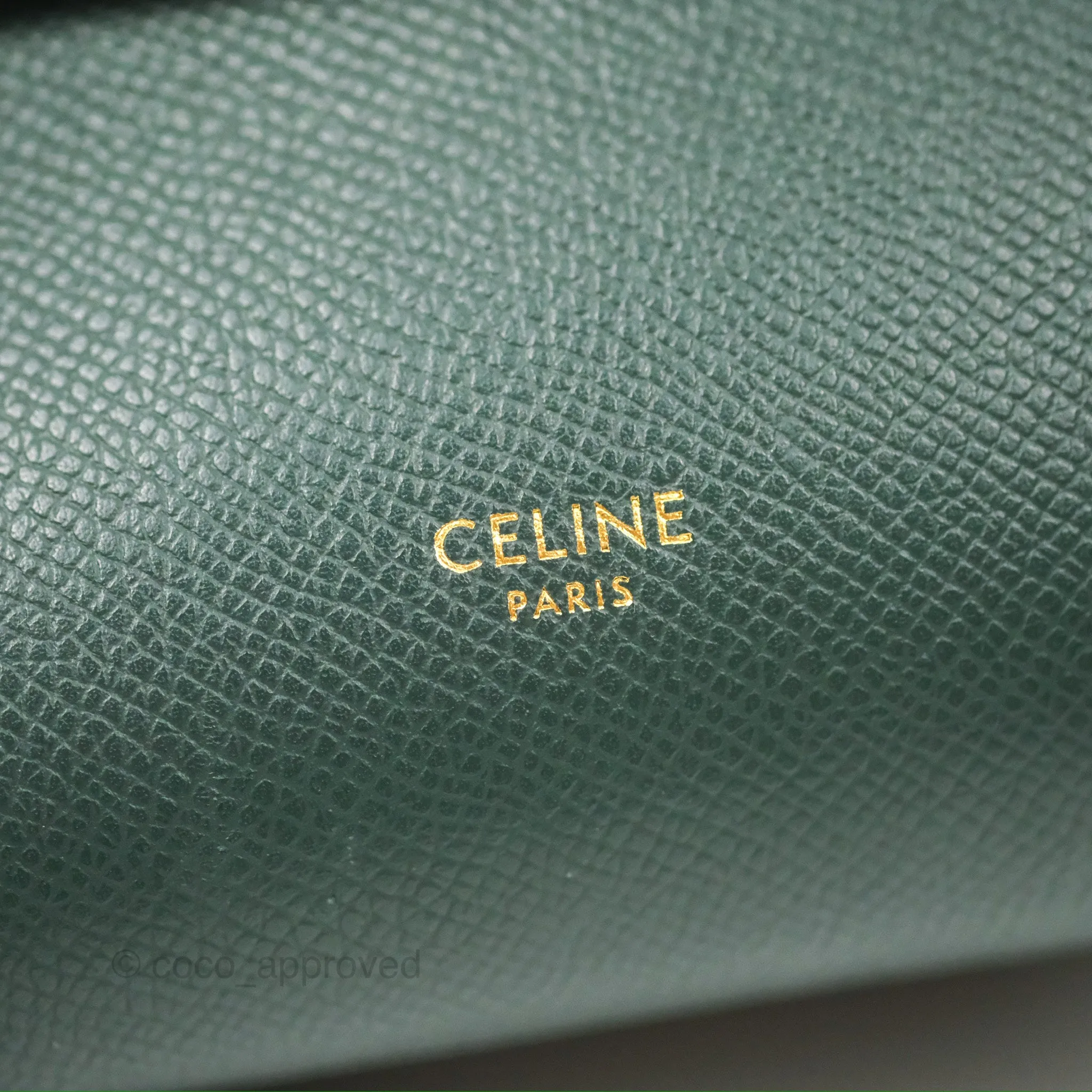 Celine Pico Belt Bag Amazone Green Grained Calfskin Gold Hardware