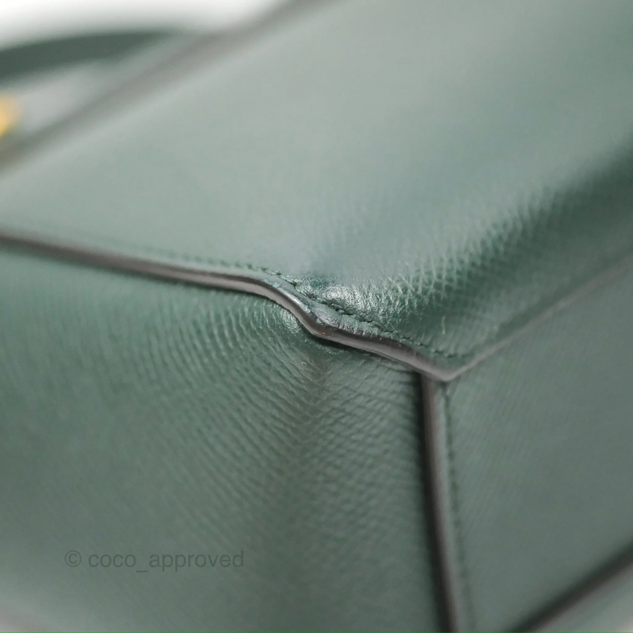 Celine Pico Belt Bag Amazone Green Grained Calfskin Gold Hardware