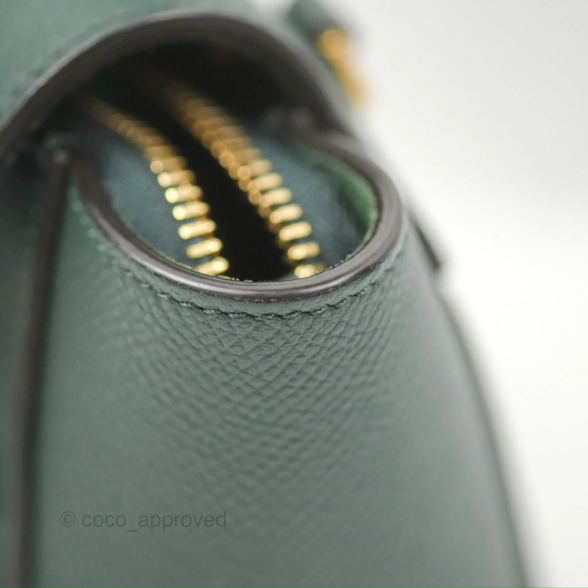 Celine Pico Belt Bag Amazone Green Grained Calfskin Gold Hardware