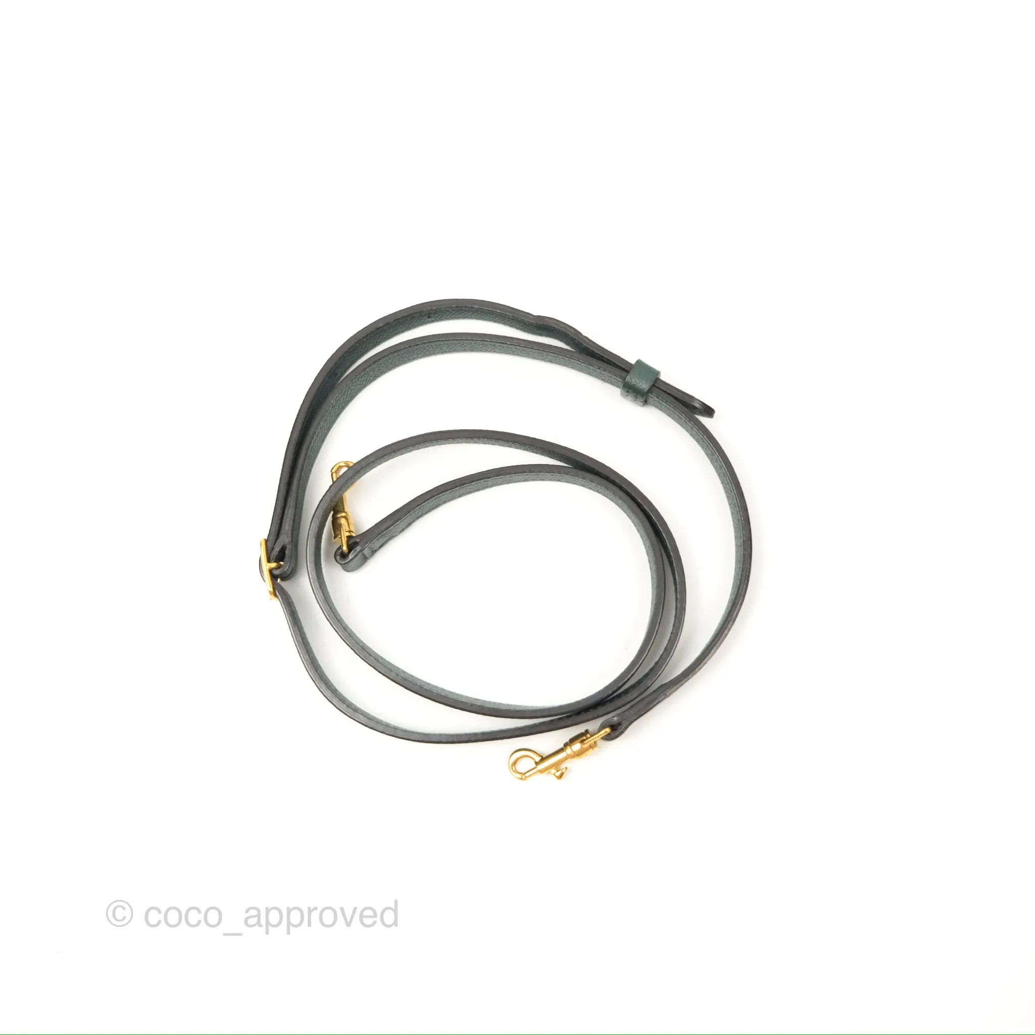 Celine Pico Belt Bag Amazone Green Grained Calfskin Gold Hardware