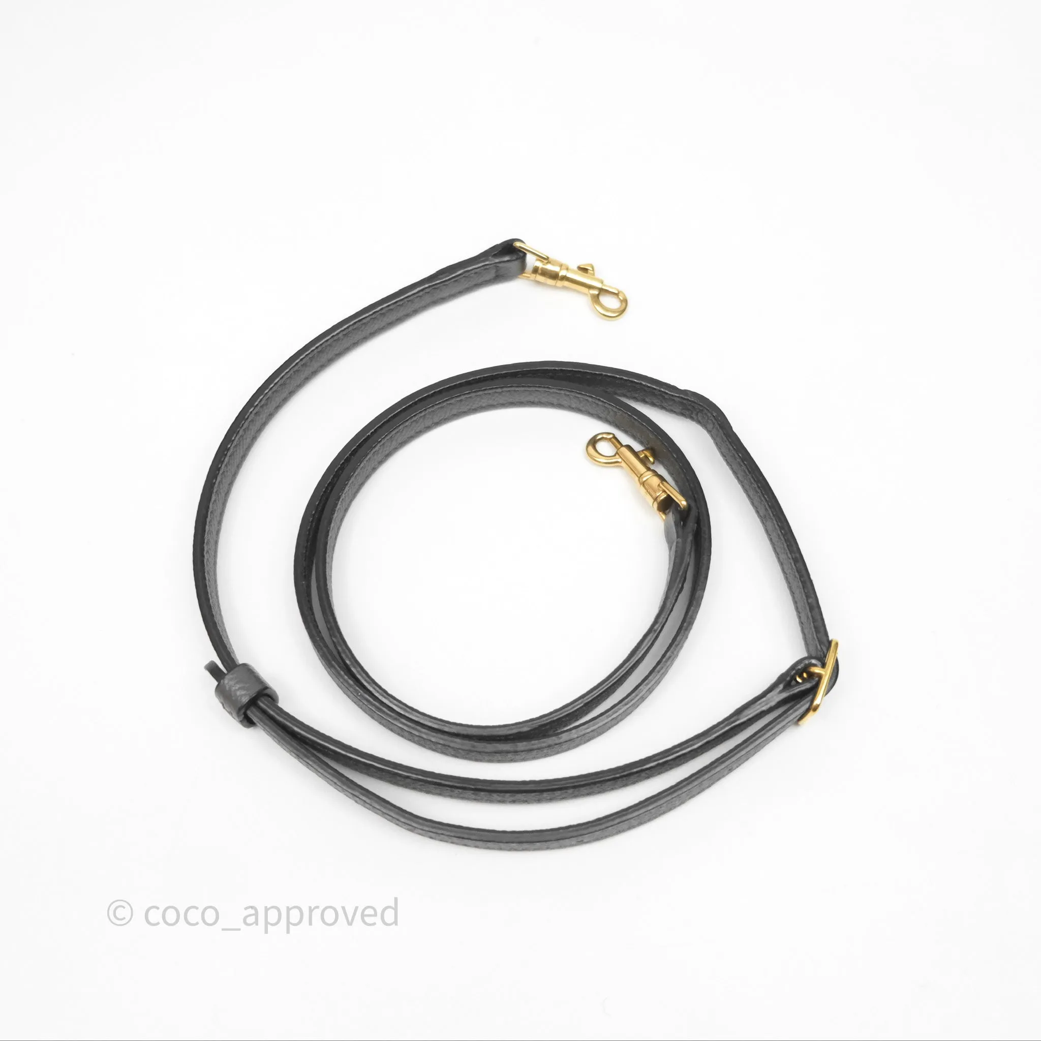 Celine Pico Belt Bag Grey Grained Calfskin Gold Hardware