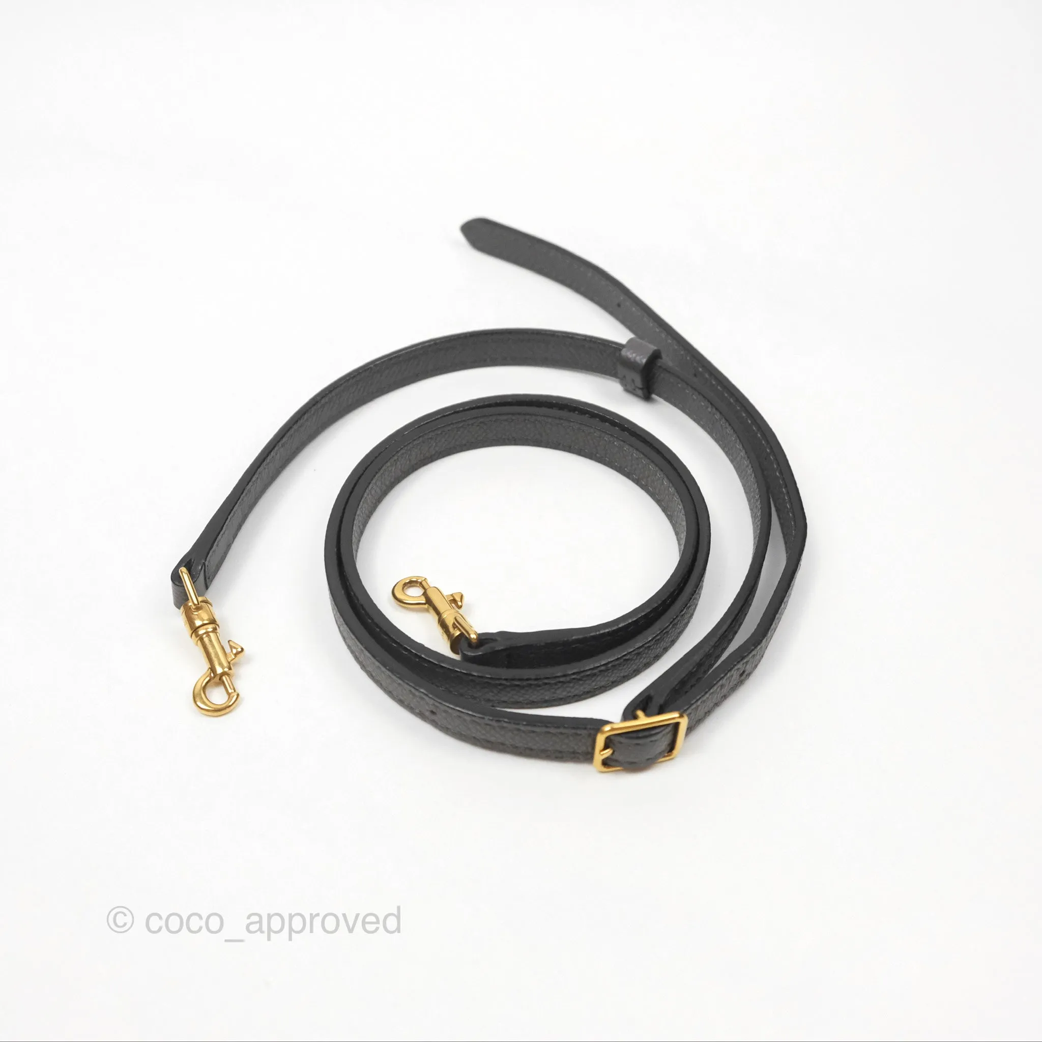 Celine Pico Belt Bag Grey Grained Calfskin Gold Hardware