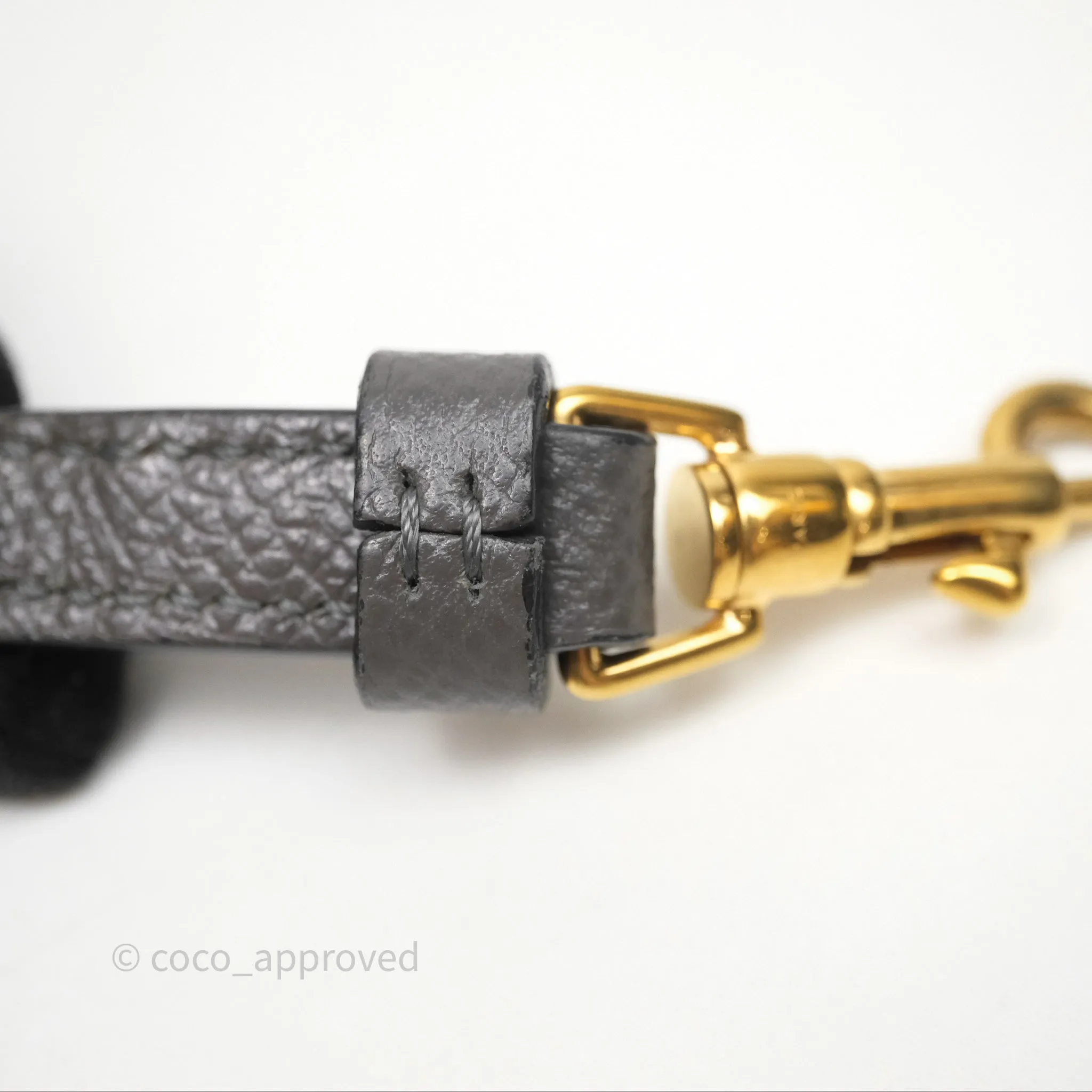 Celine Pico Belt Bag Grey Grained Calfskin Gold Hardware