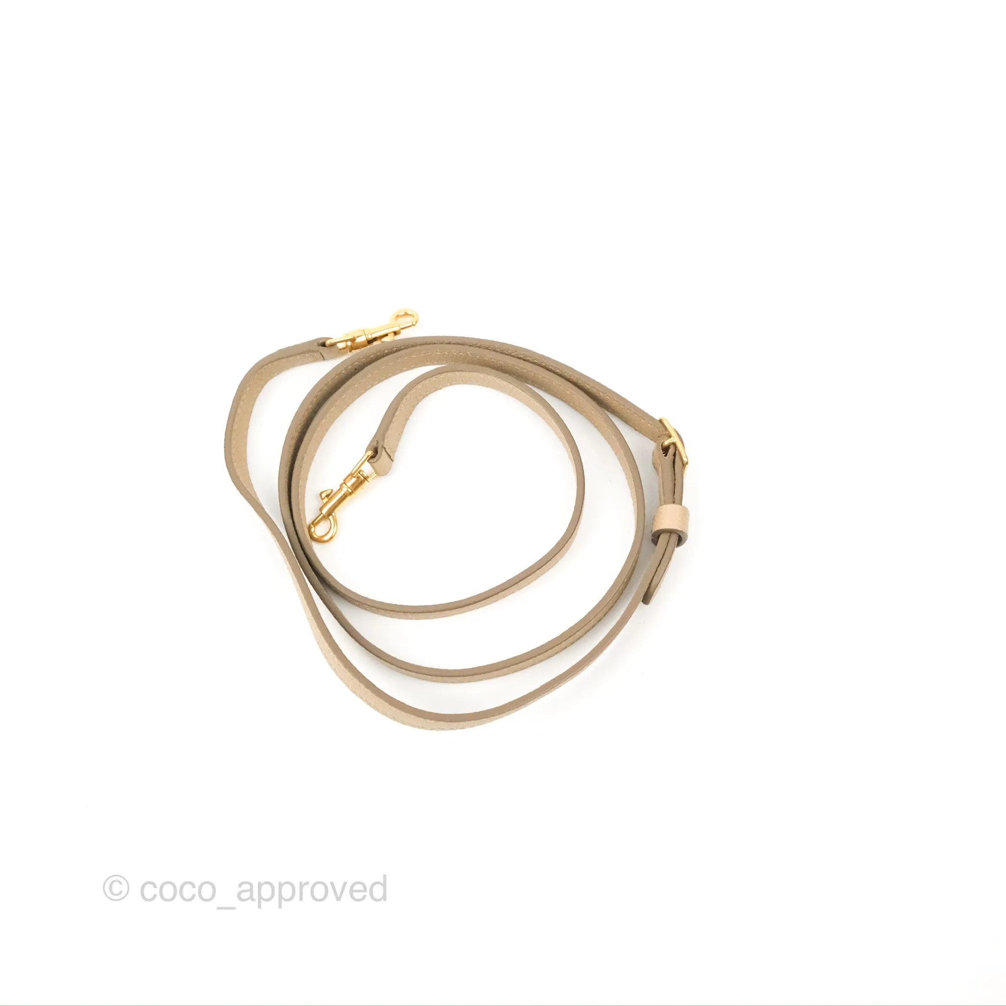 Celine Pico Belt Bag Light Taupe Grained Calfskin Gold Hardware