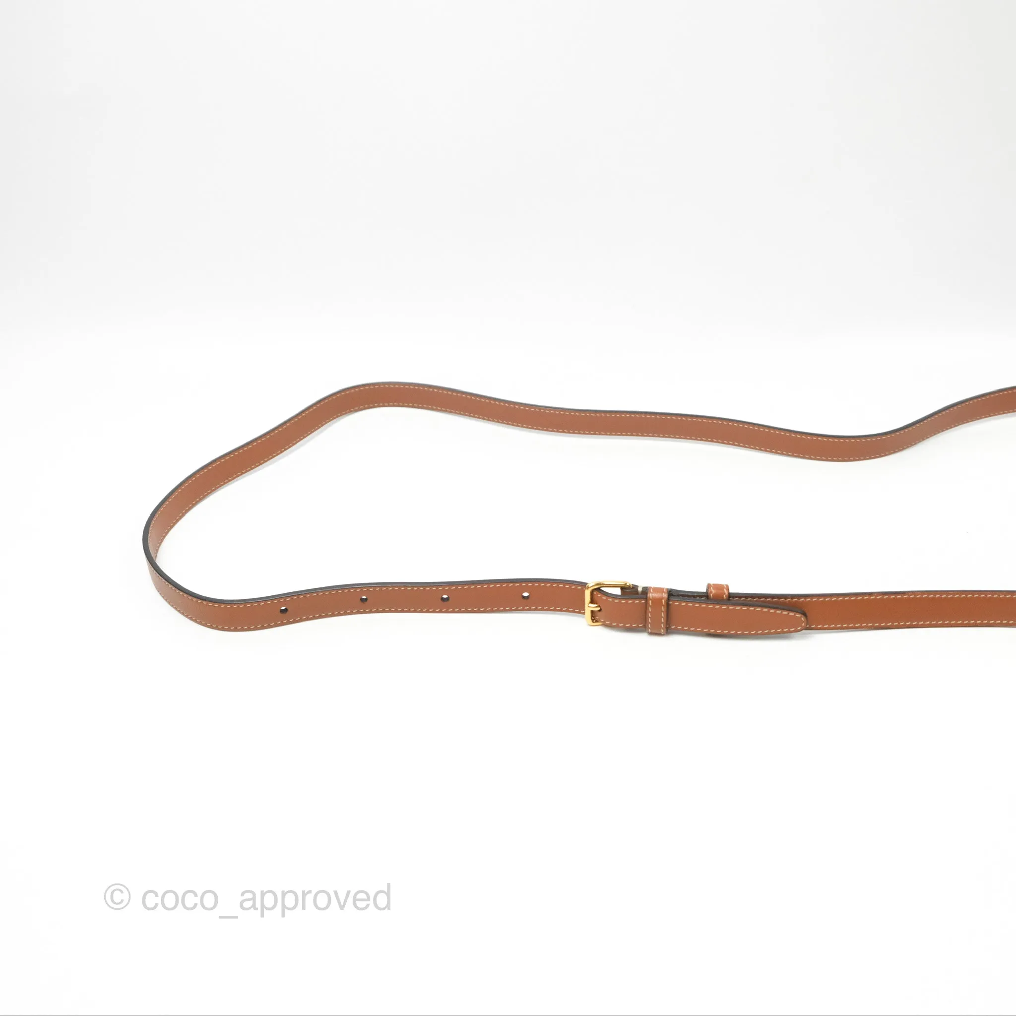 Celine Round Purse on Strap Triomphe Canvas Tan