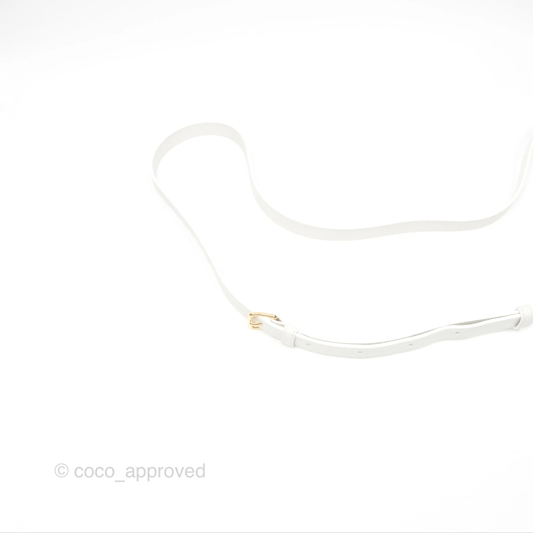 Celine Round Purse on Strap Triomphe Canvas White Calfskin
