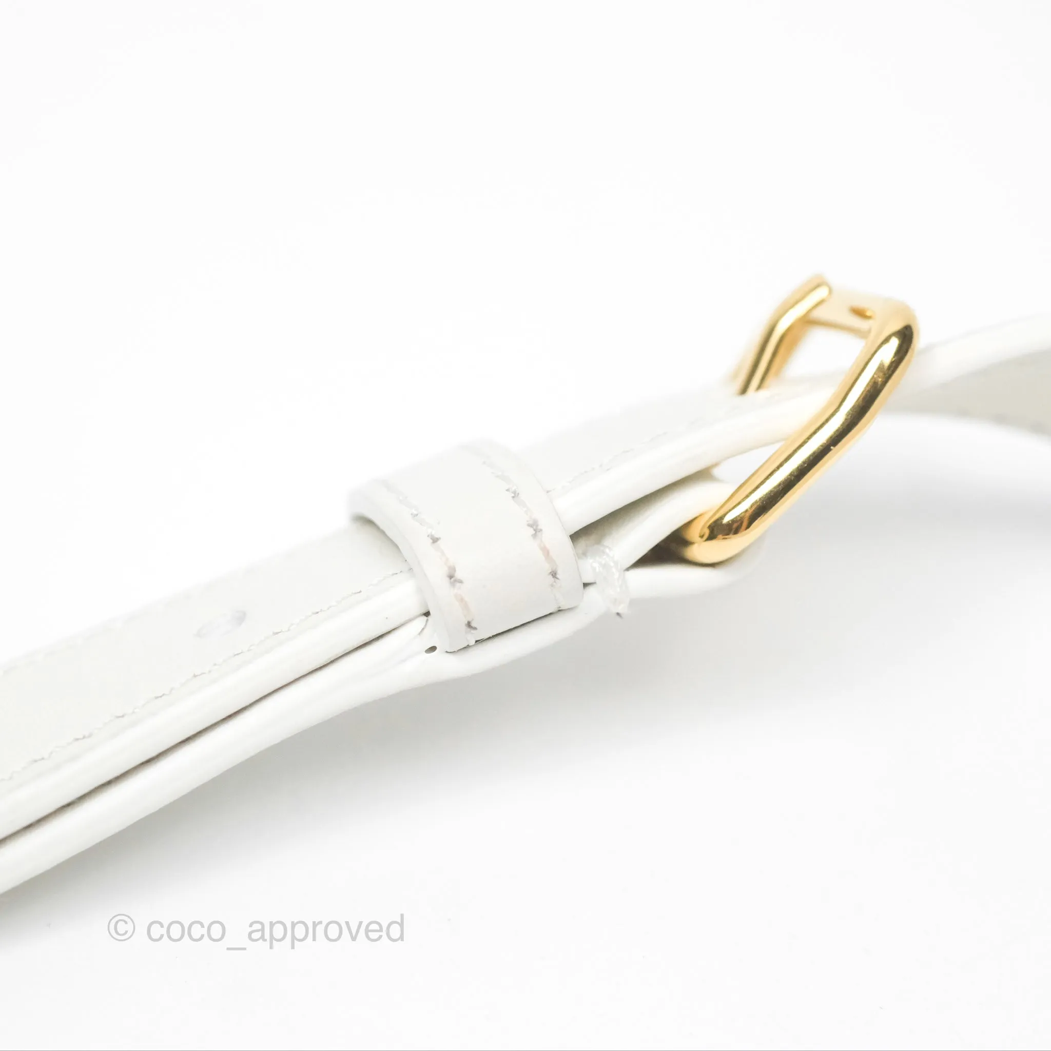 Celine Round Purse on Strap Triomphe Canvas White Calfskin