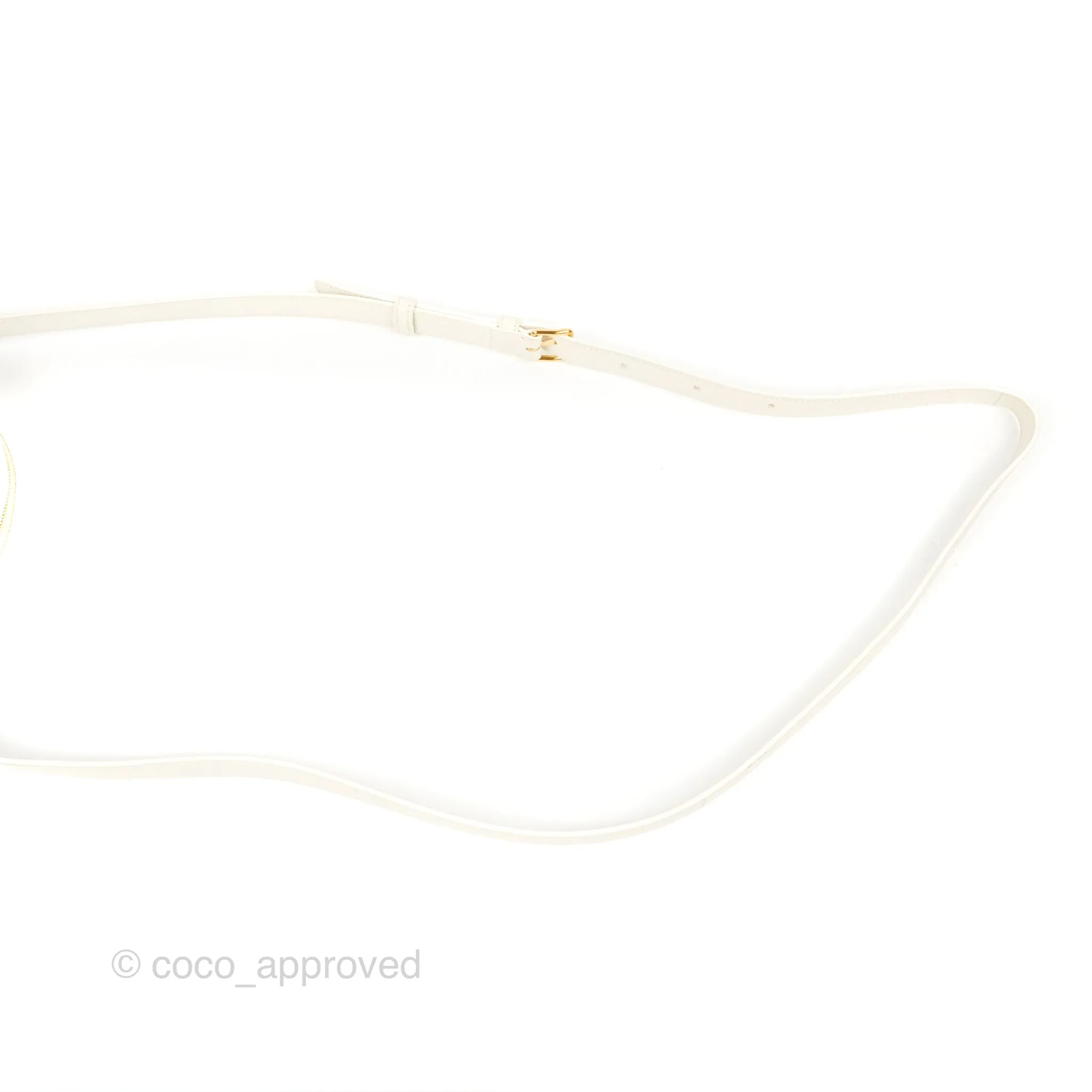 Celine Round Purse on Strap Triomphe Canvas White Calfskin