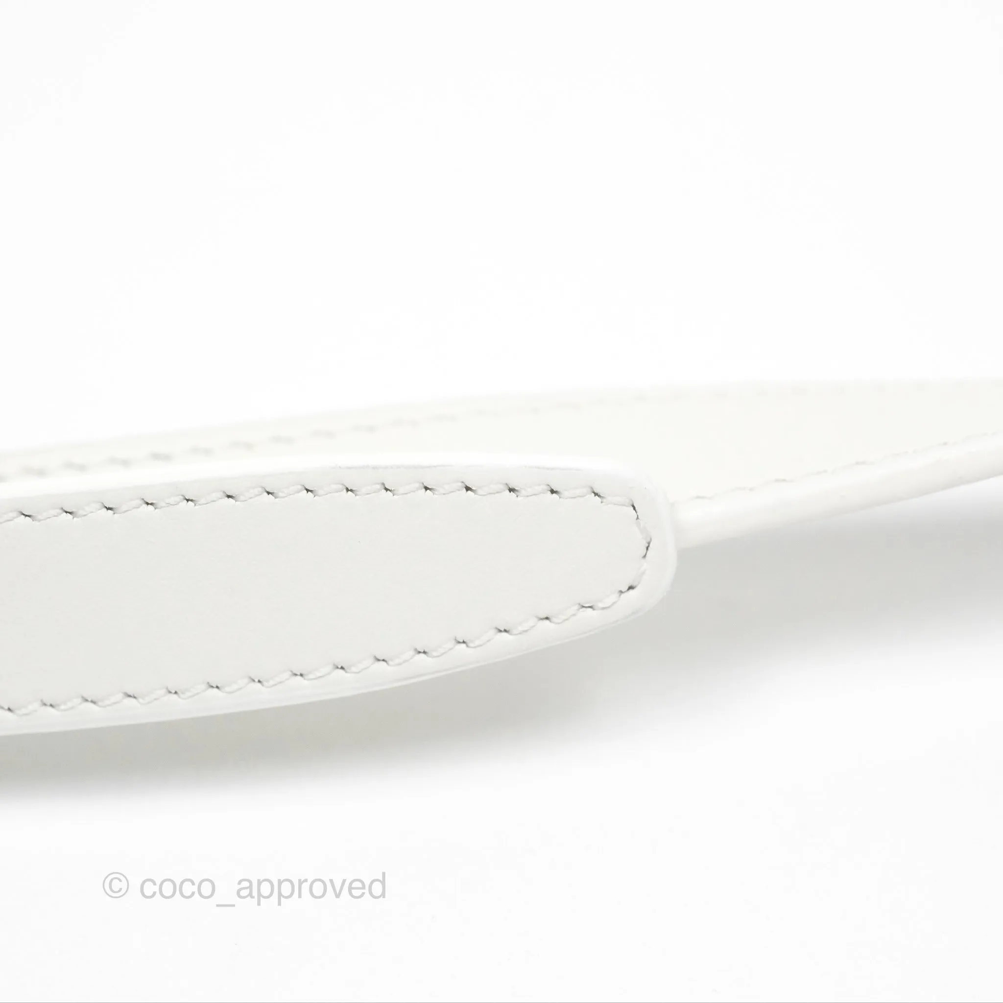 Celine Round Purse on Strap Triomphe Canvas White Calfskin