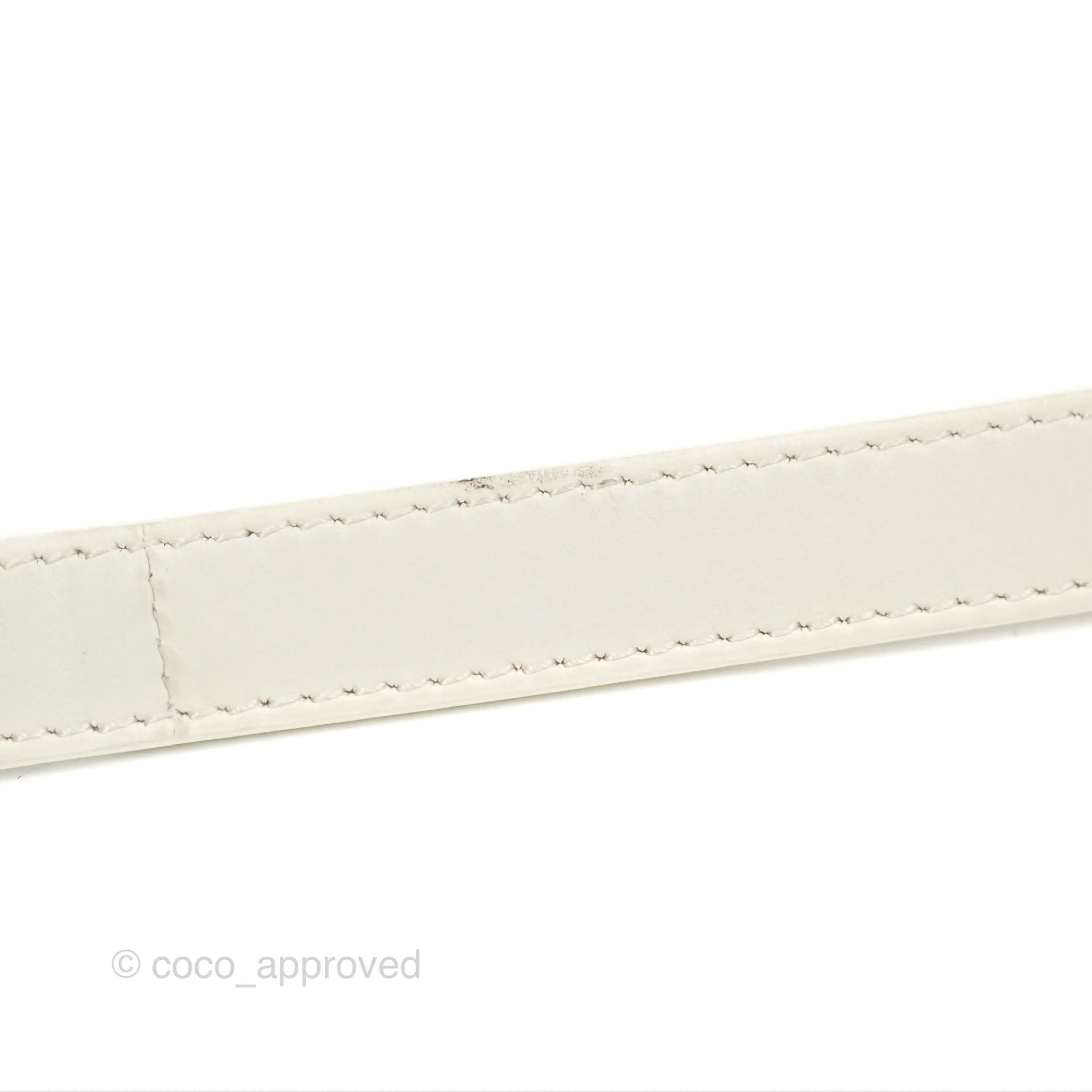 Celine Round Purse on Strap Triomphe Canvas White Calfskin