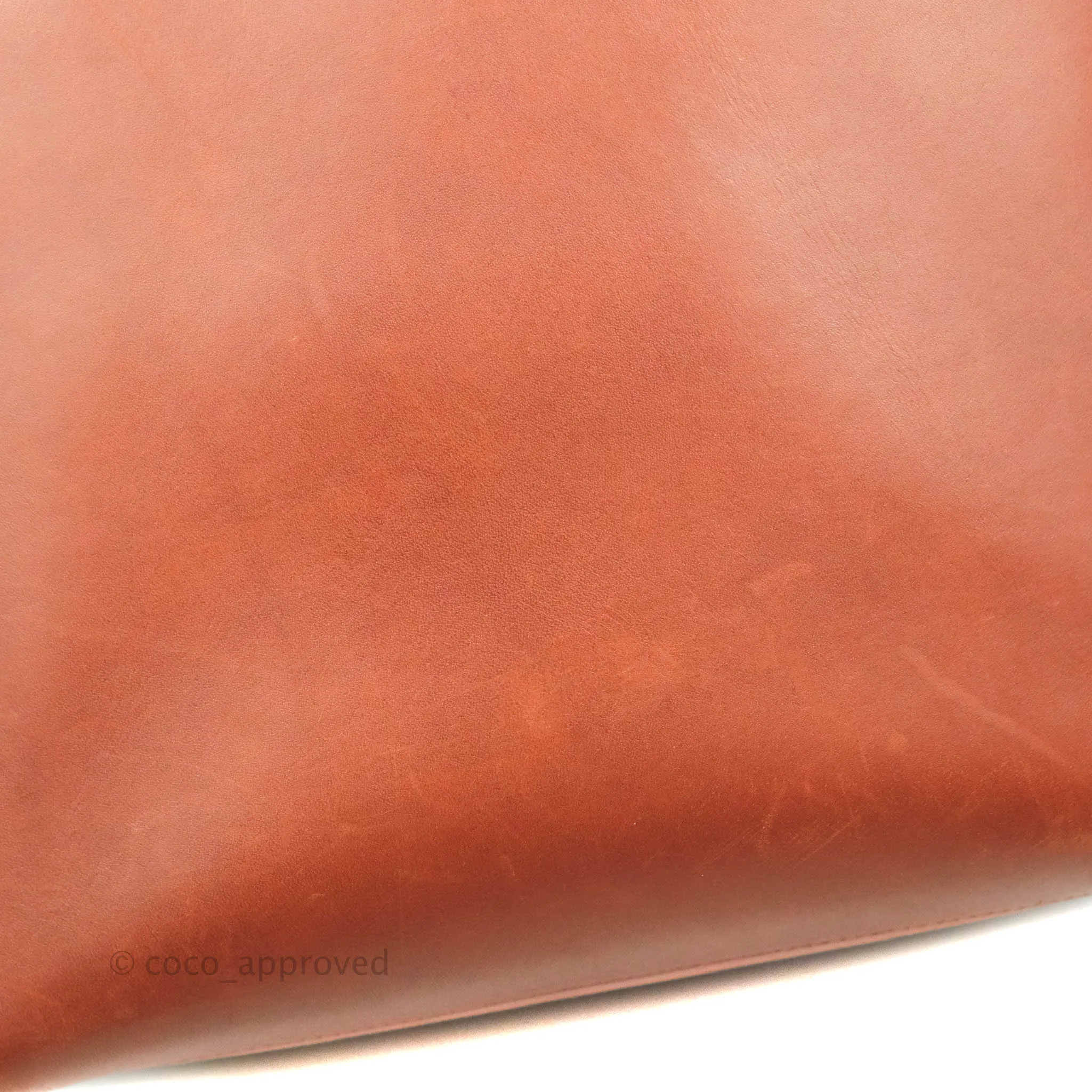 Celine Sangle Bucket Bag Calfskin Brick Red Gold Hardware