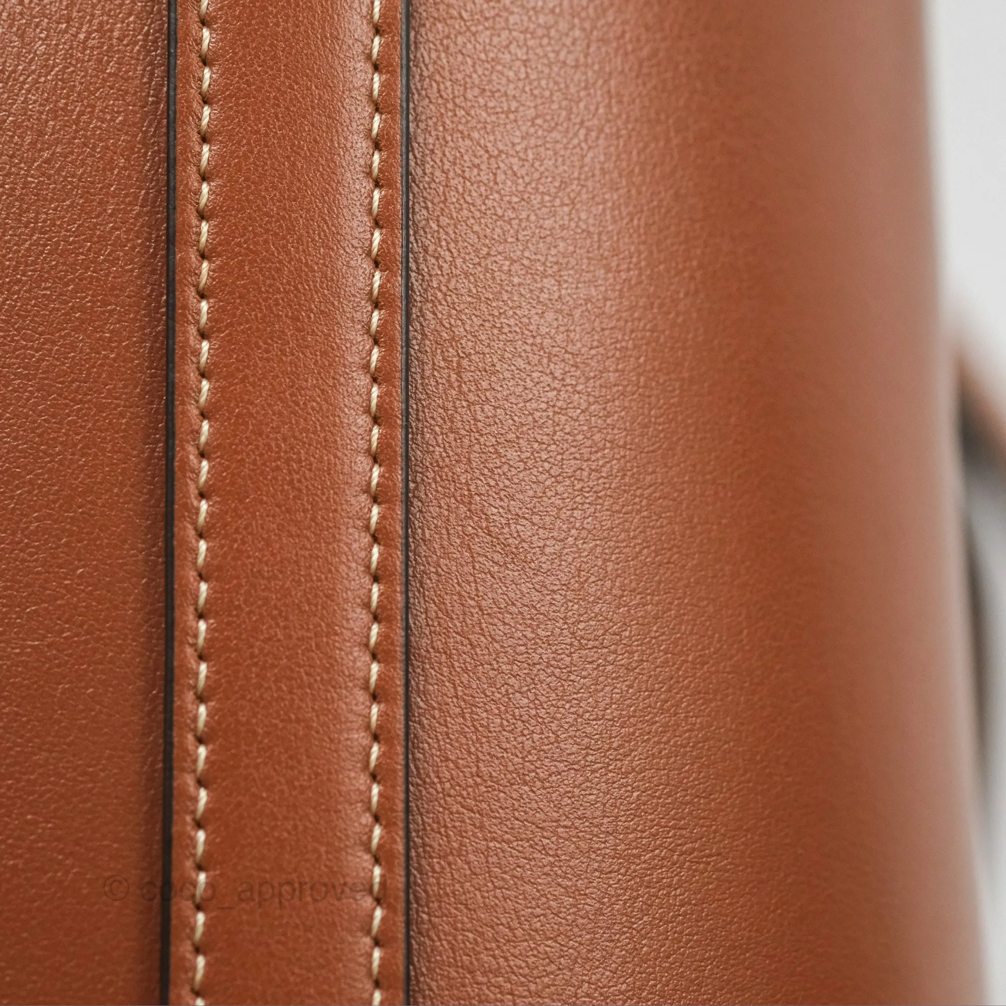 Celine Small Bucket Cuir Triomphe in Calfskin Tan