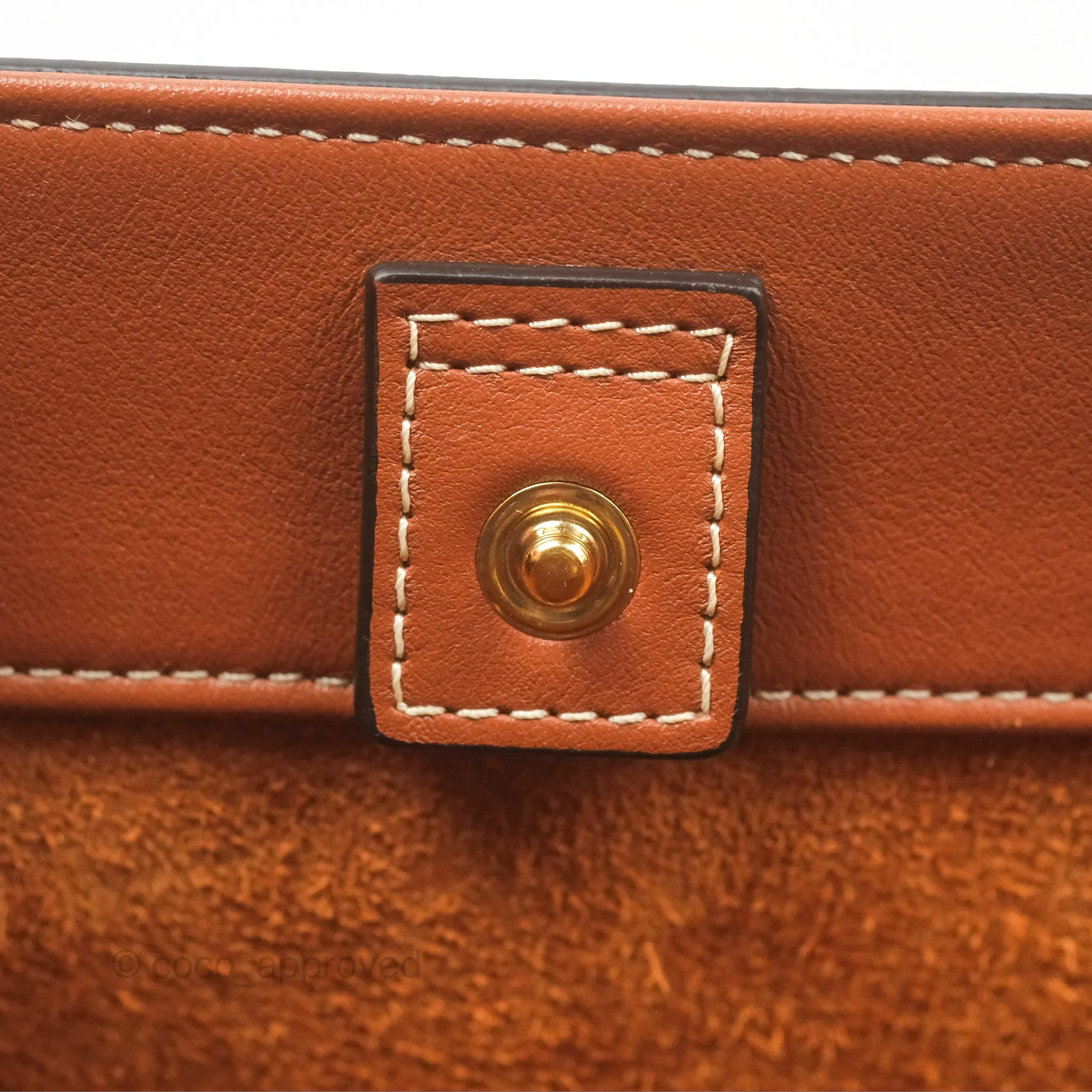 Celine Small Bucket Cuir Triomphe in Calfskin Tan