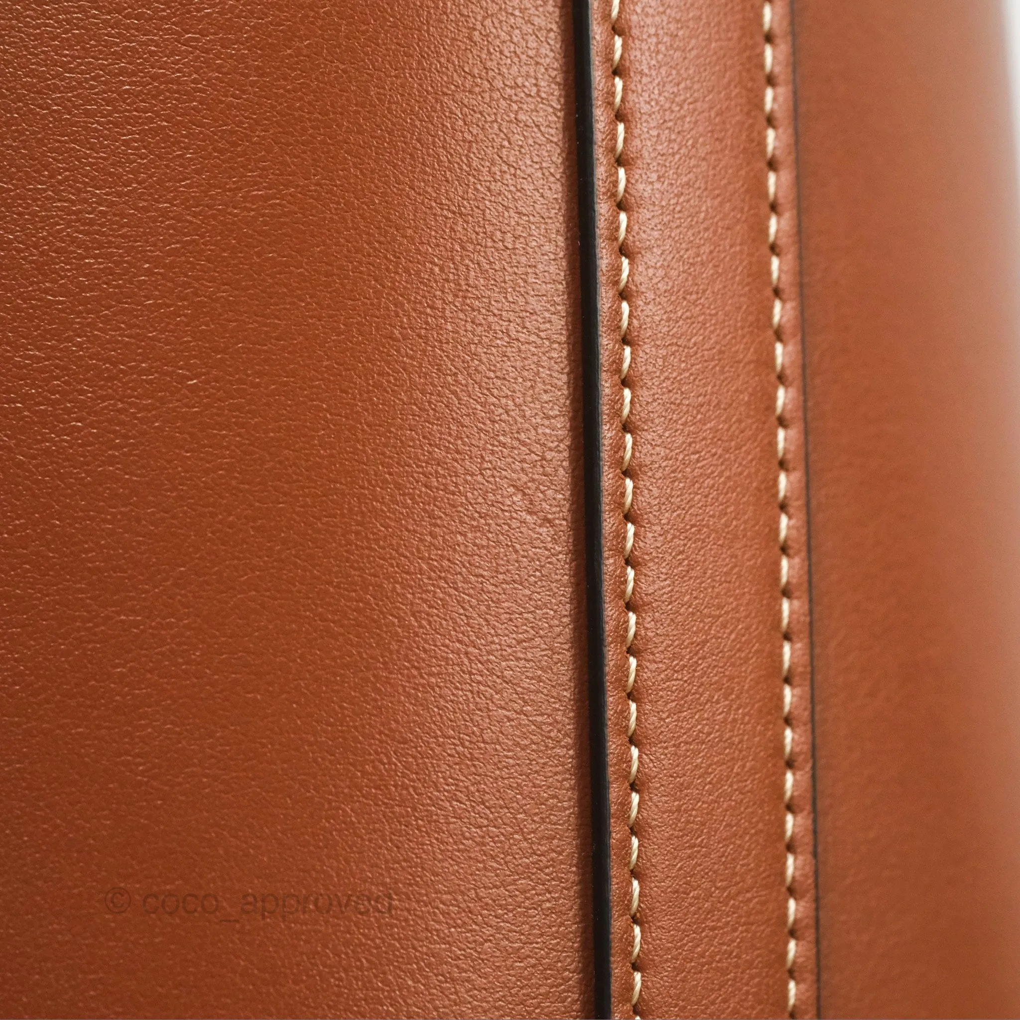 Celine Small Bucket Cuir Triomphe in Calfskin Tan