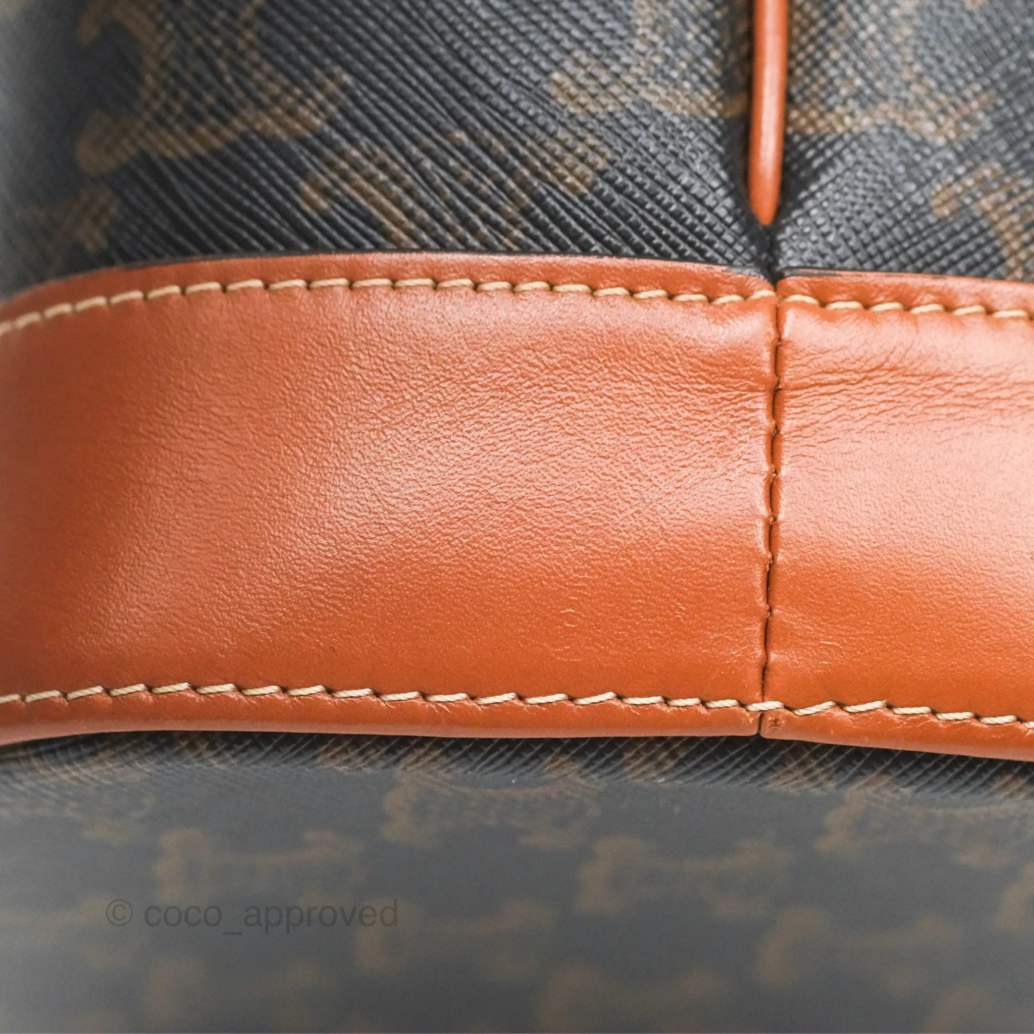 Celine Small Bucket Triomphe Canvas Tan Calfskin