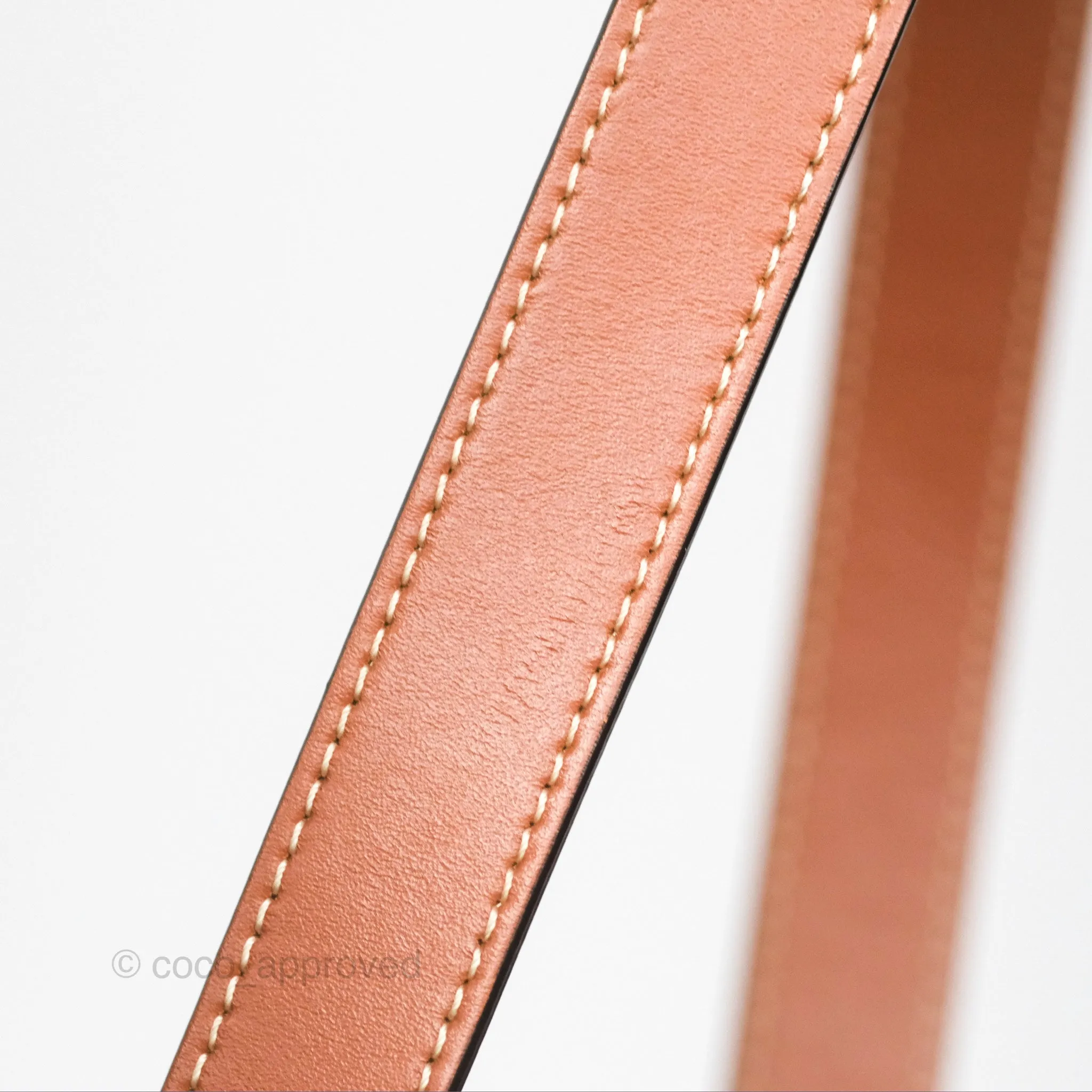 Celine Small Bucket Triomphe Canvas Tan Calfskin
