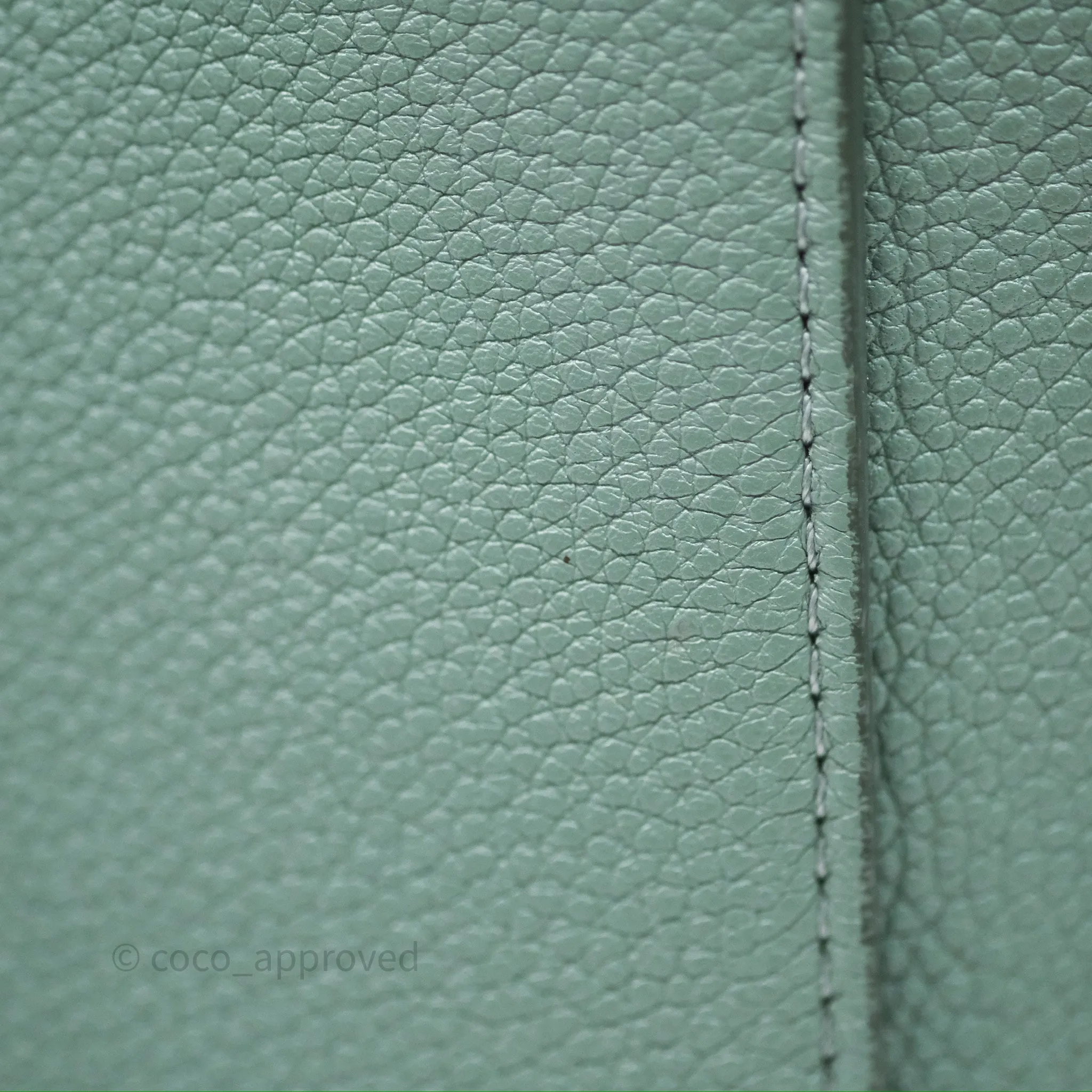 Celine Small Sangle Bucket Bag Light Green Celadon Grained Calfskin Silver Hardware