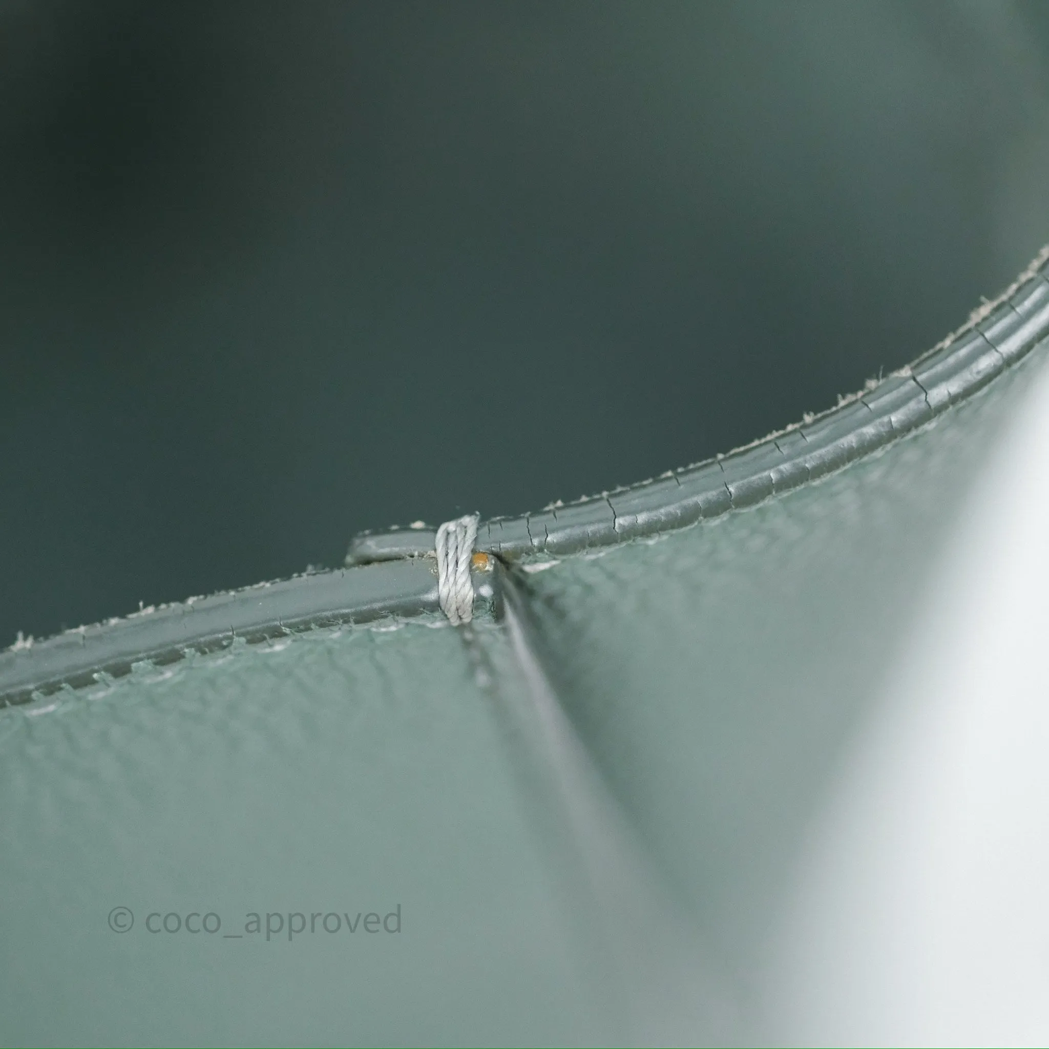 Celine Small Sangle Bucket Bag Light Green Celadon Grained Calfskin Silver Hardware