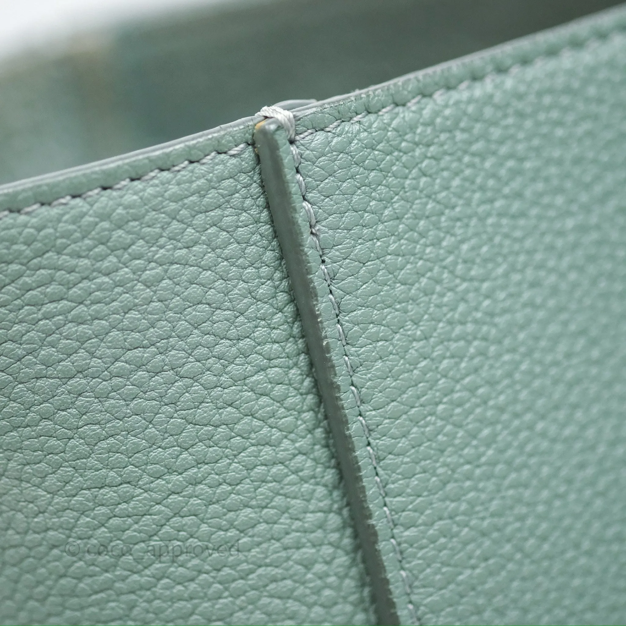 Celine Small Sangle Bucket Bag Light Green Celadon Grained Calfskin Silver Hardware