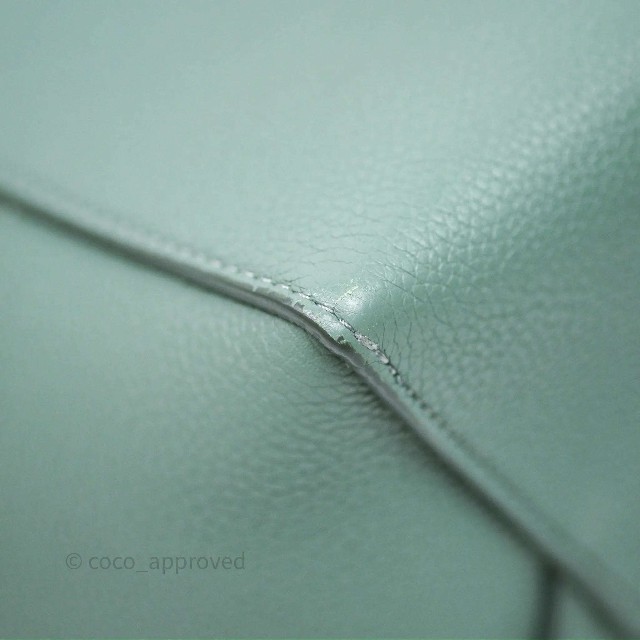 Celine Small Sangle Bucket Bag Light Green Celadon Grained Calfskin Silver Hardware
