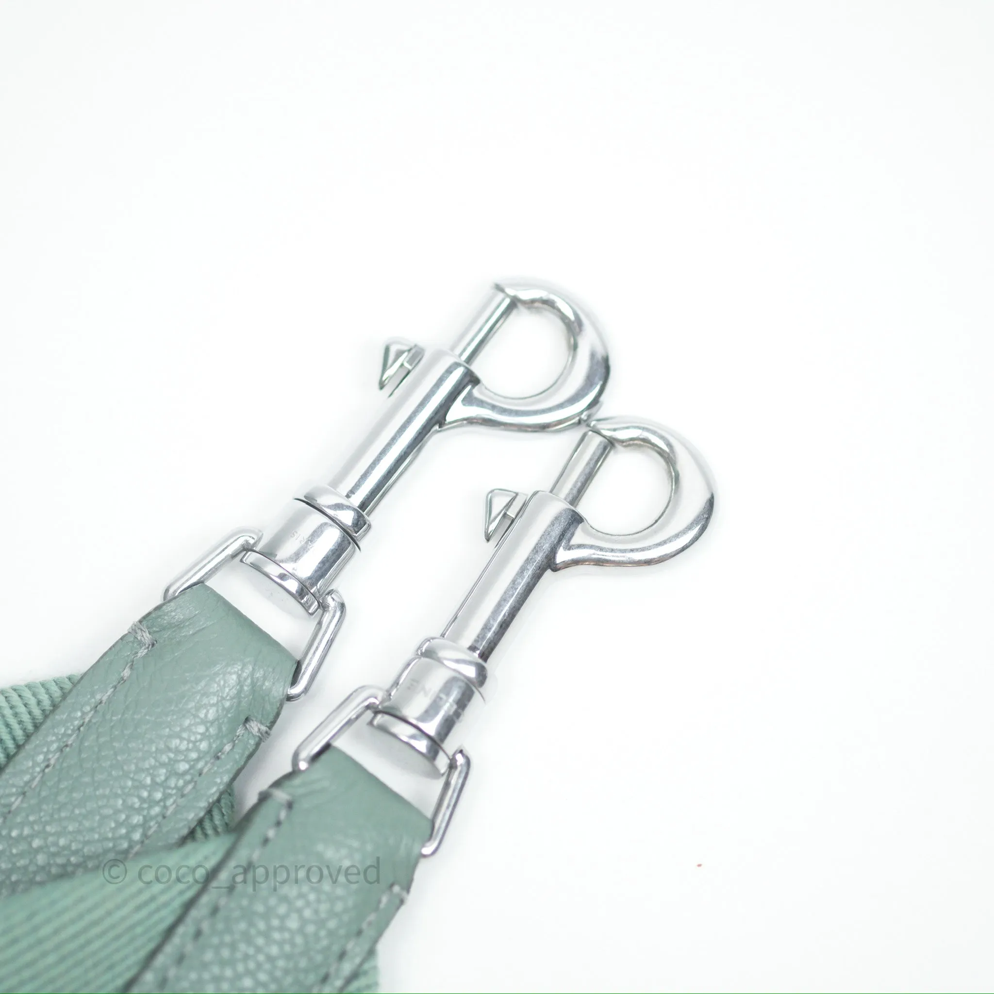 Celine Small Sangle Bucket Bag Light Green Celadon Grained Calfskin Silver Hardware