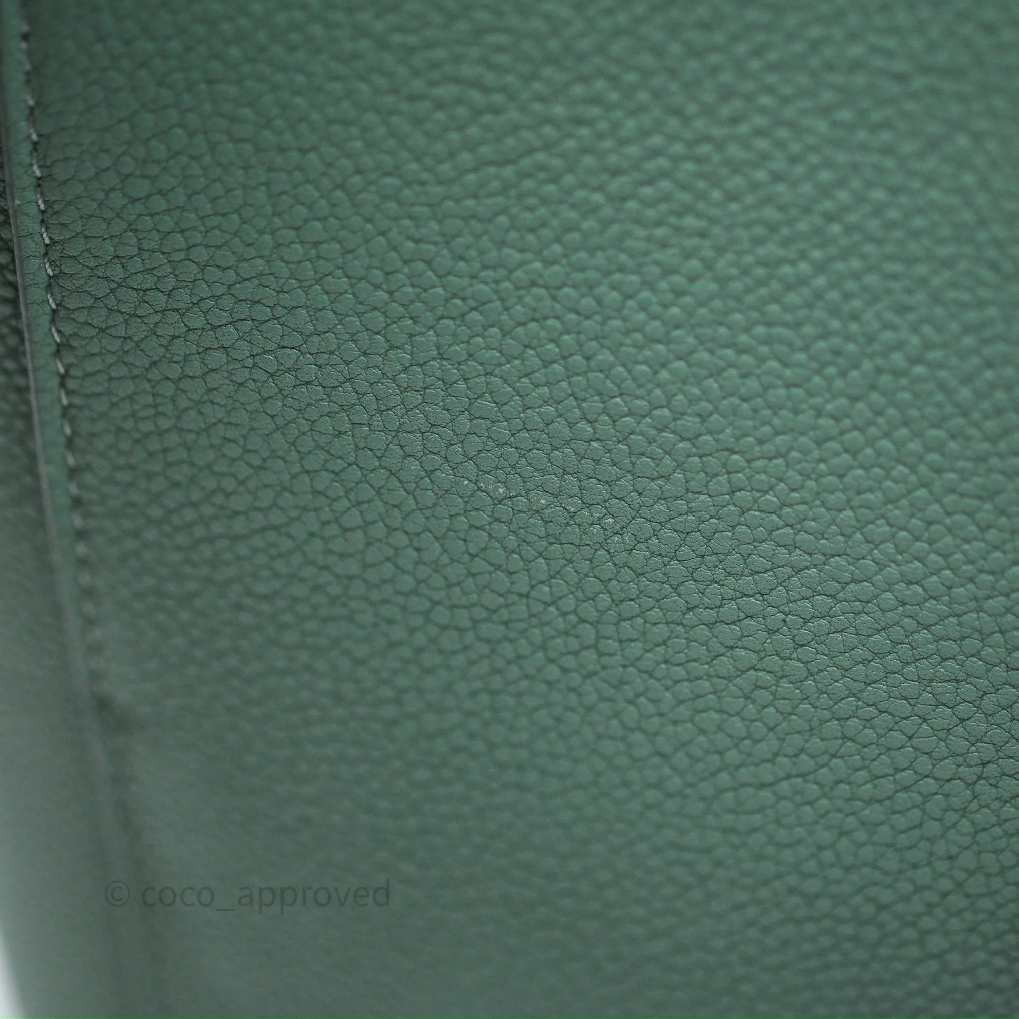 Celine Small Sangle Bucket Bag Light Green Celadon Grained Calfskin Silver Hardware