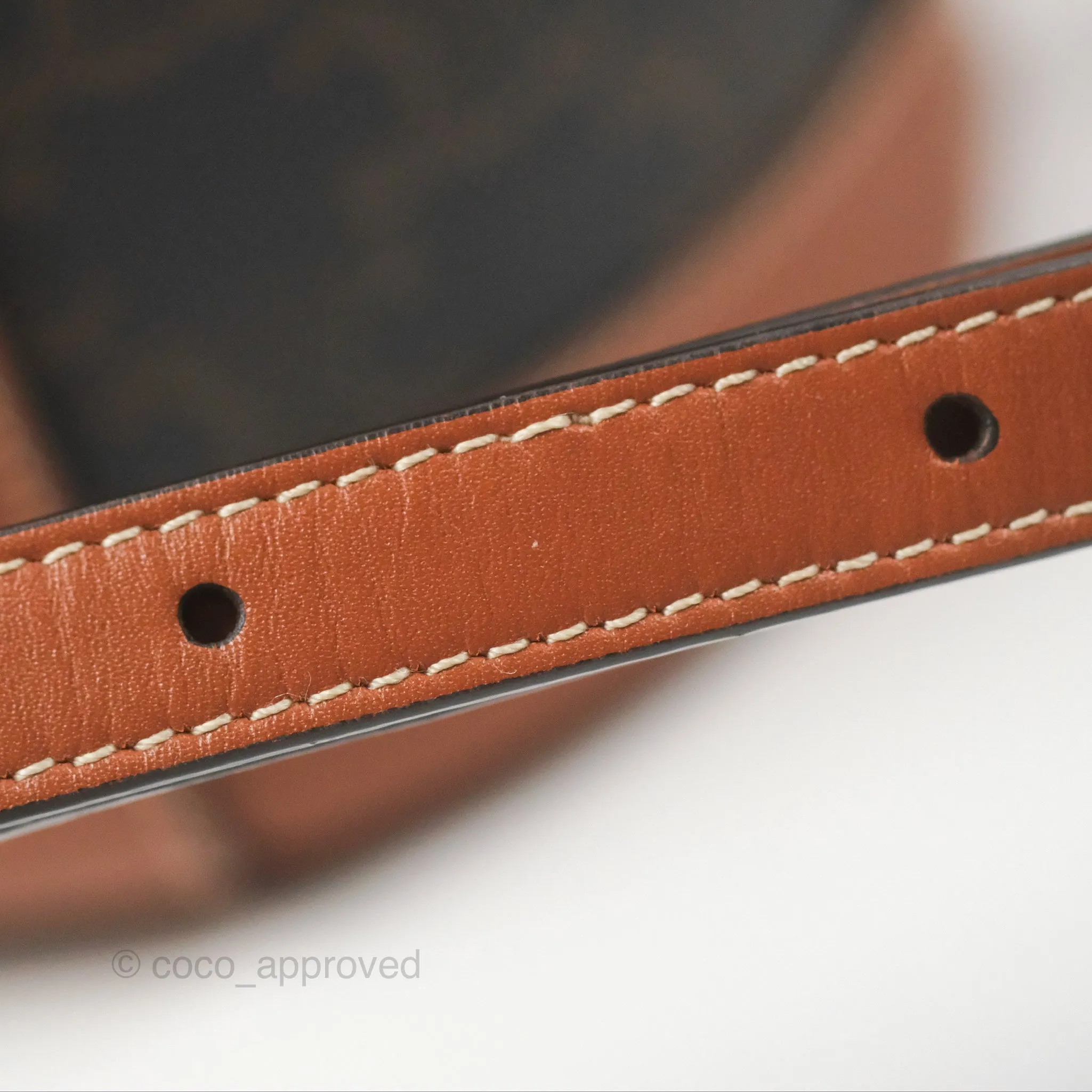 Celine Small Tambour Triomphe Canvas